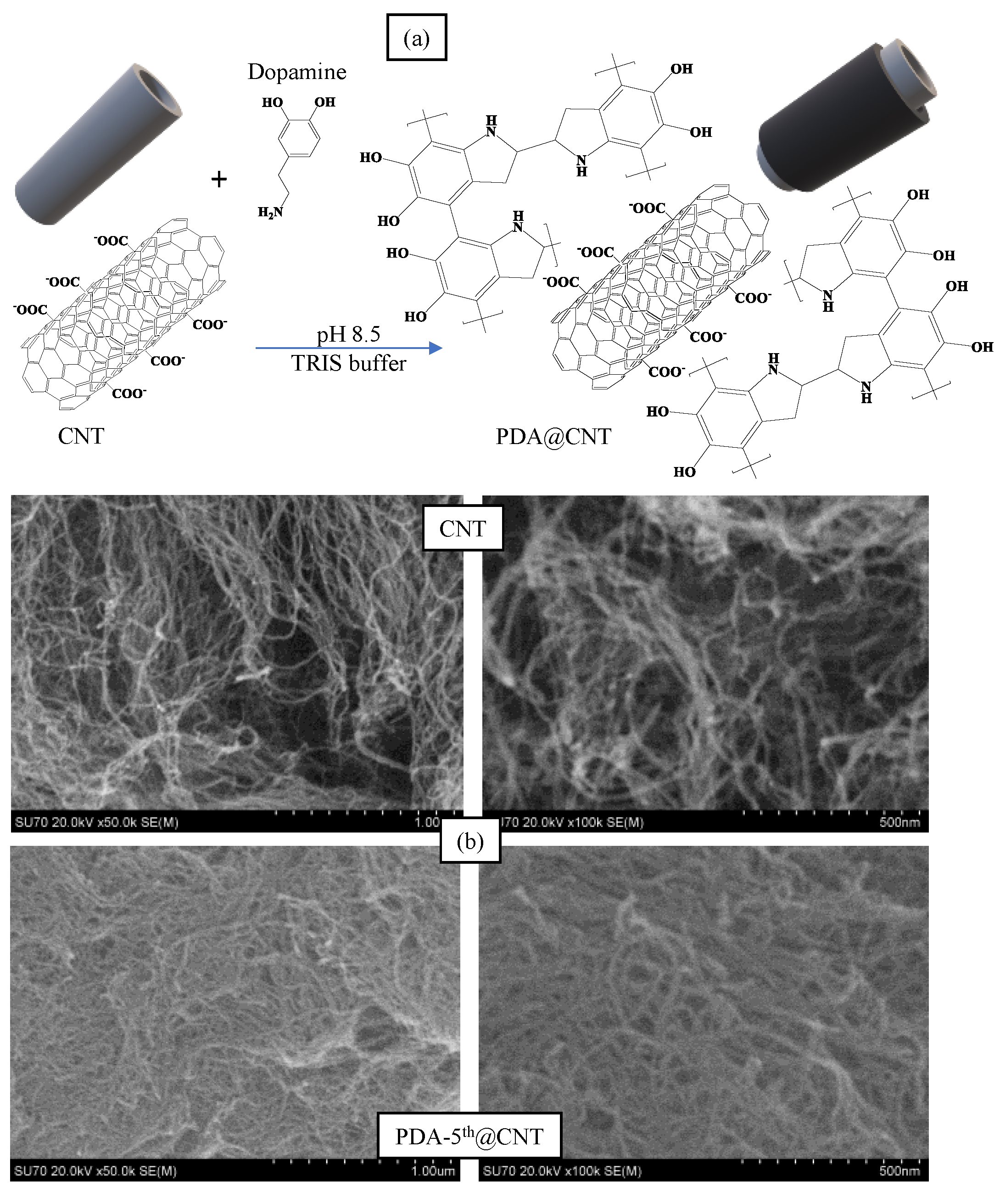 Micromachines | Free Full-Text | Improved Biomedical Properties of