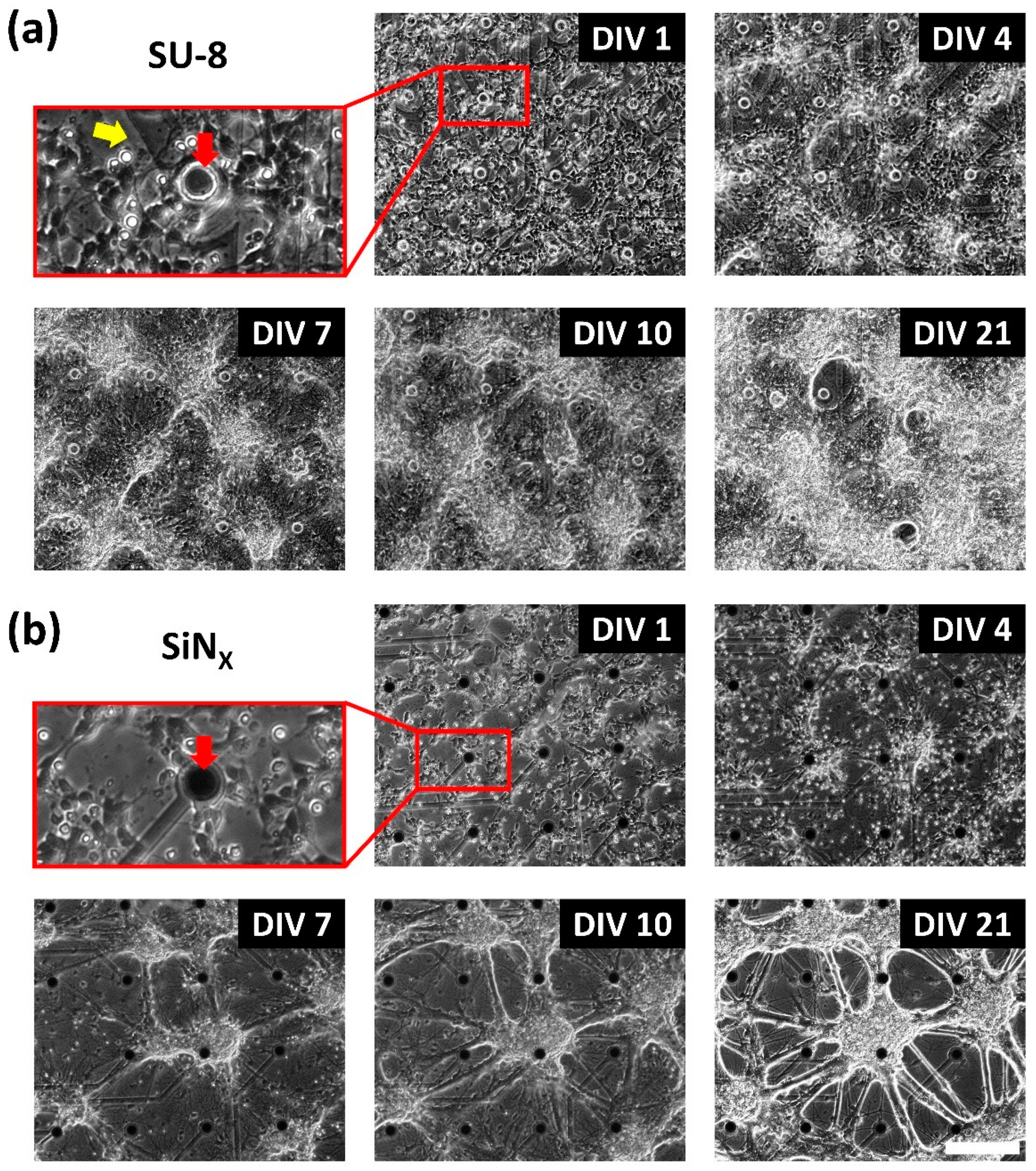 Micromachines 12 01347 g009