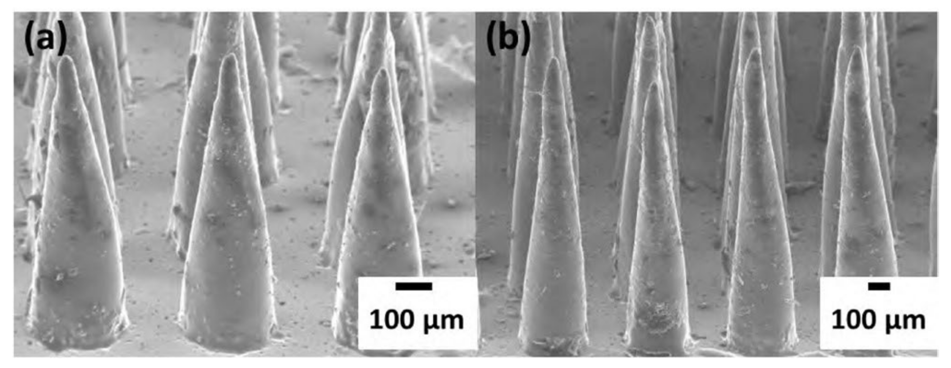 Micromachines 12 01350 g008 Micromachines 12 01350 g008
