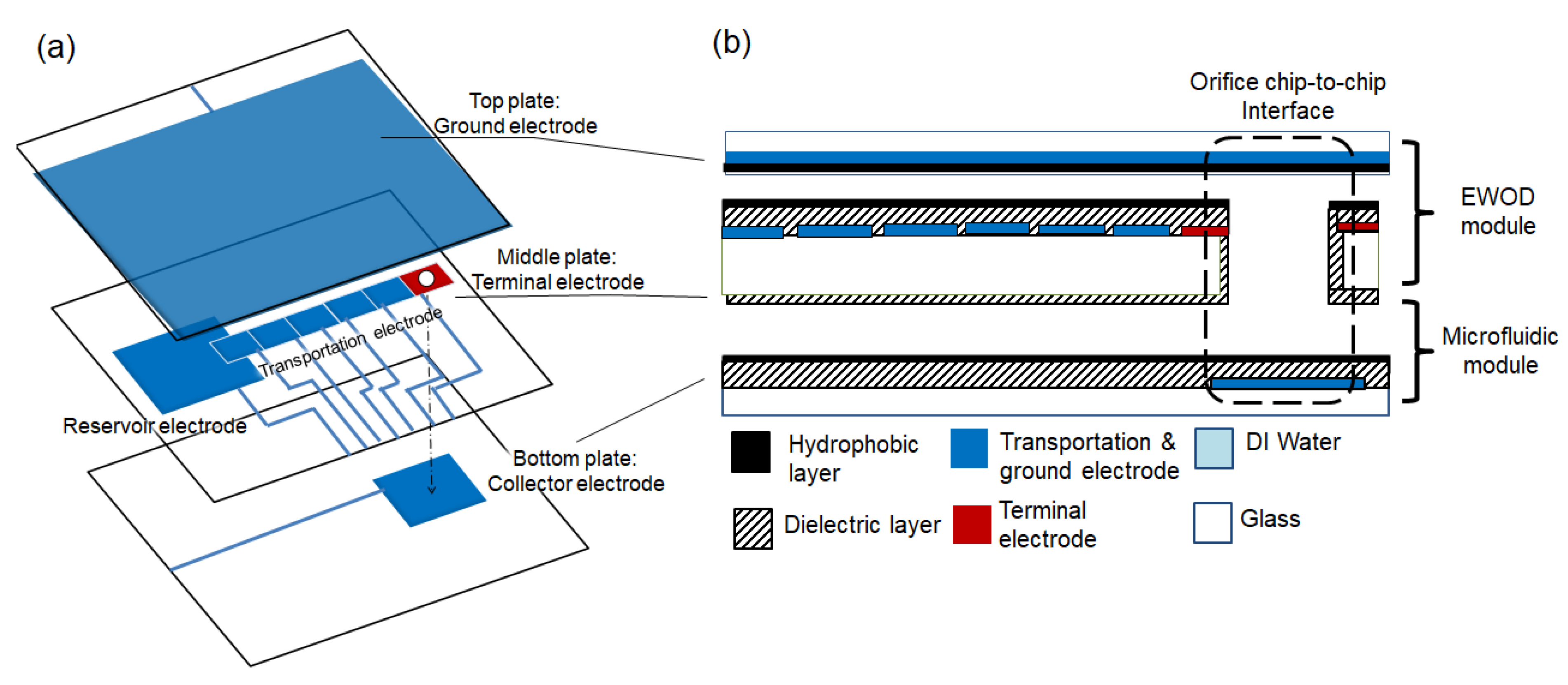 Micromachines Free Full Text Droplet Transportation Through An Orifice On Electrode For Digital Microfluidics Modulations Html