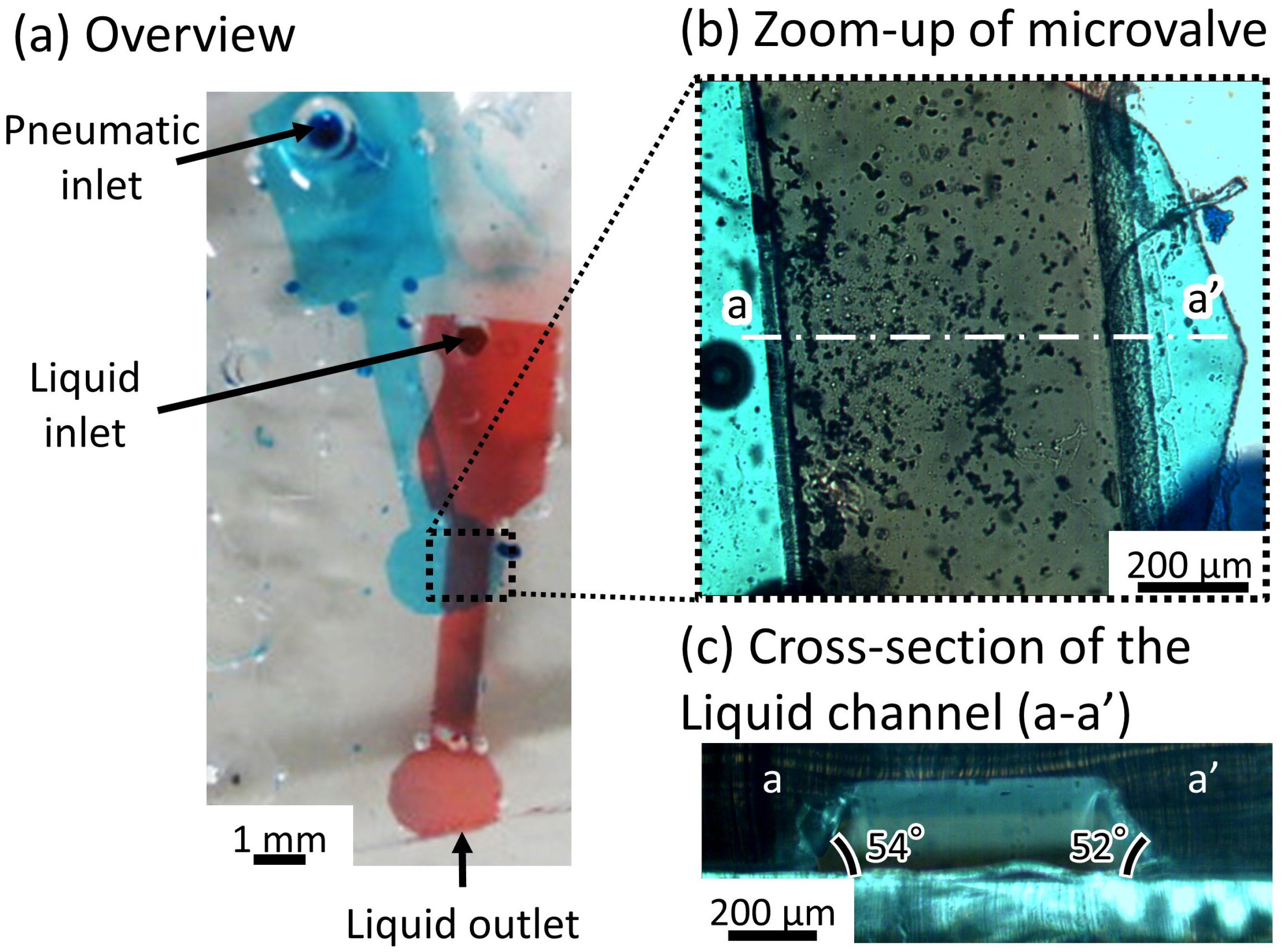 Micromachines 12 01403 g007