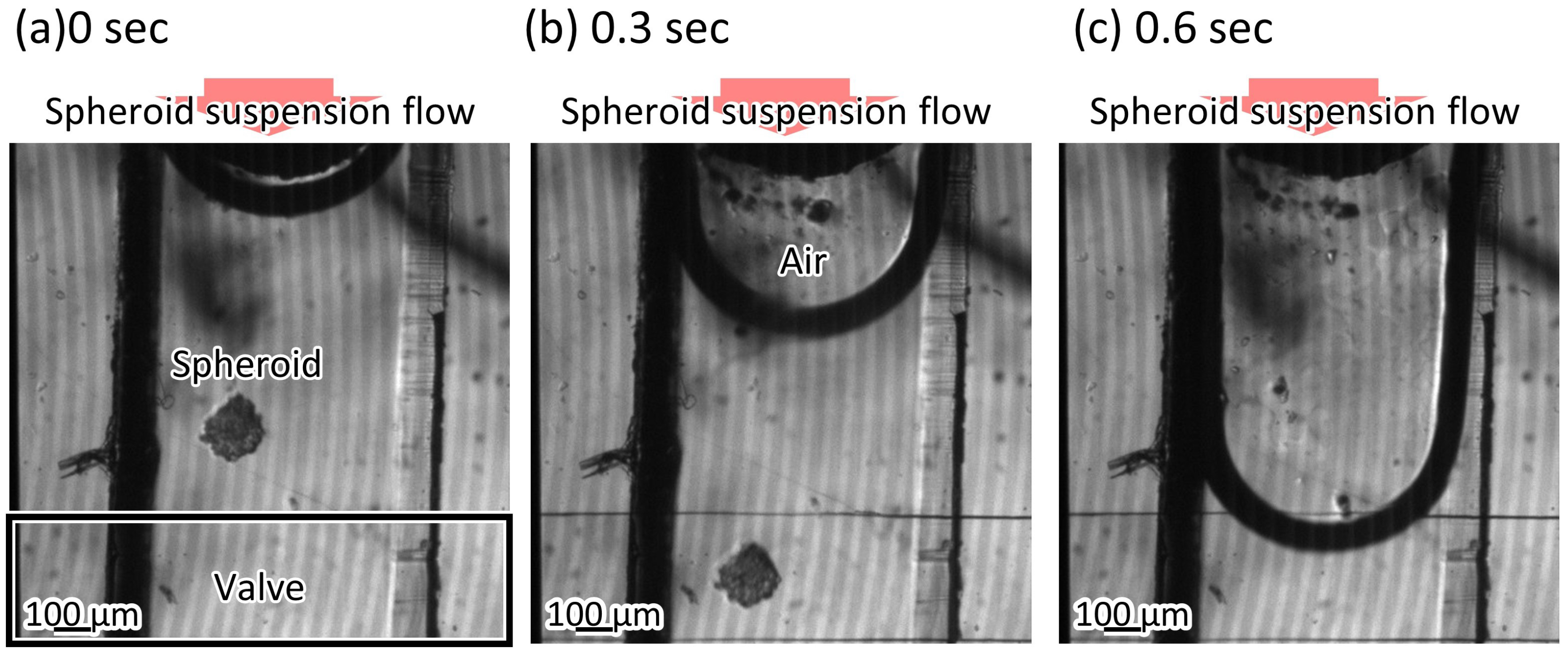 Micromachines 12 01403 g009