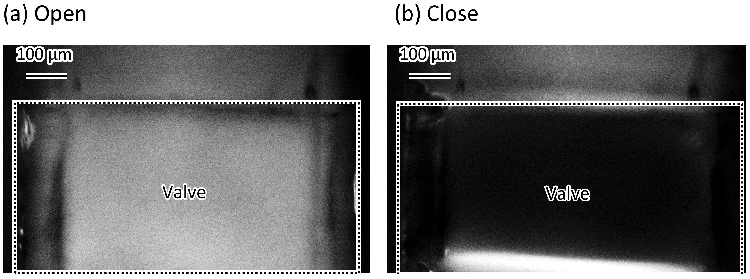 Micromachines 12 01403 g011