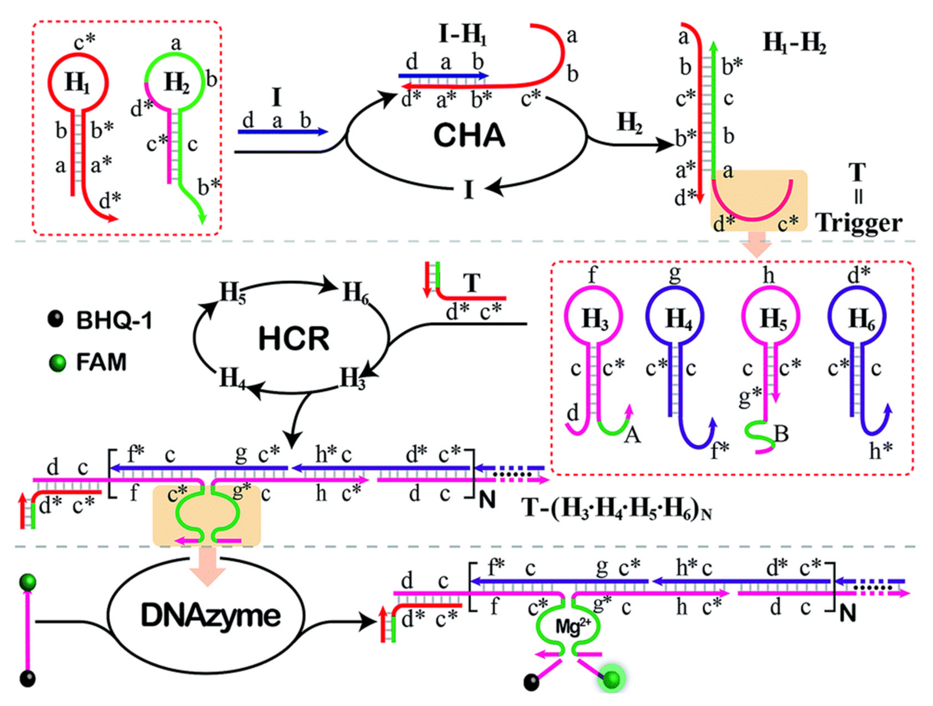 Micromachines 12 01409 g002 Micromachines 12 01409 g002