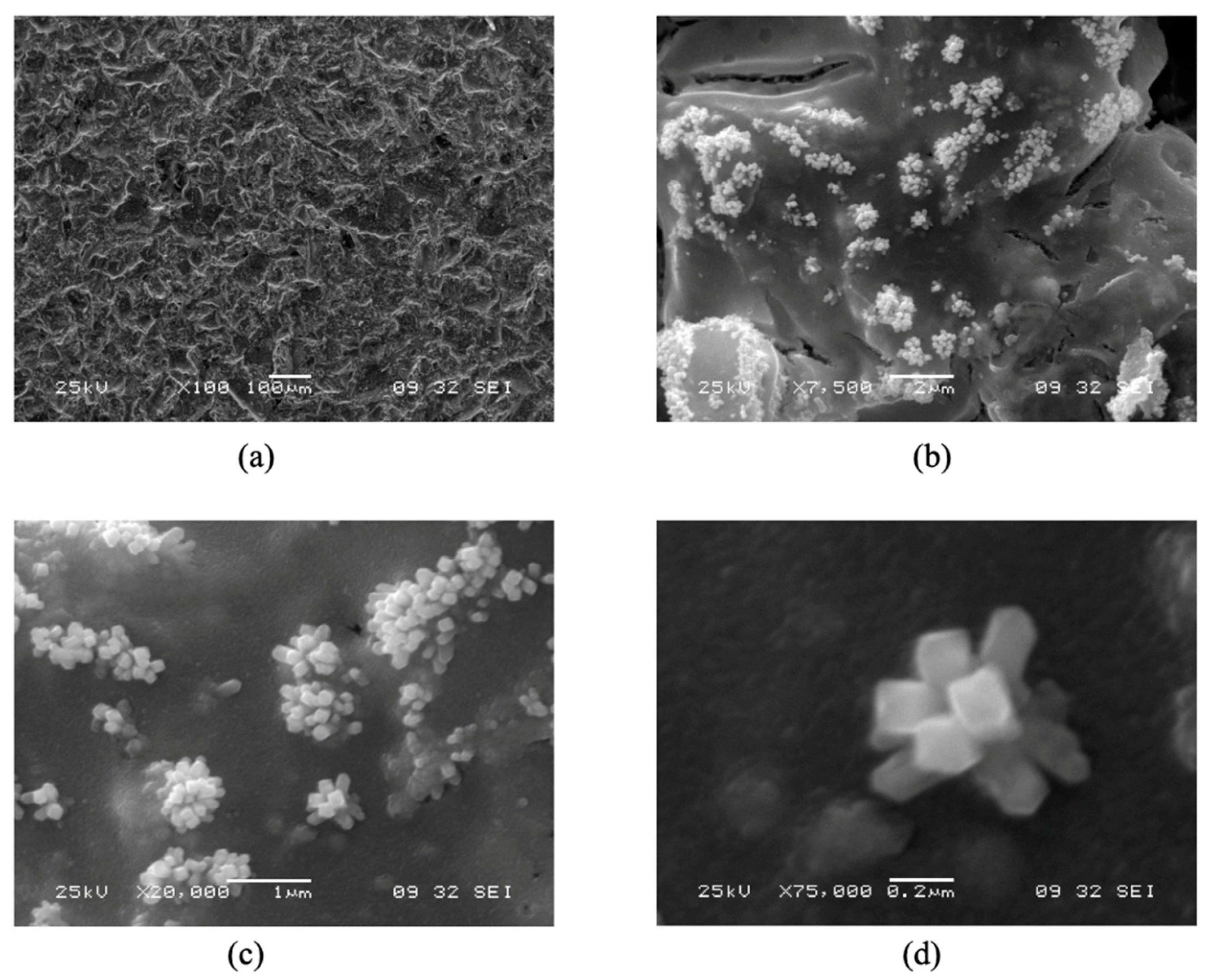 Micromachines 12 01412 g001