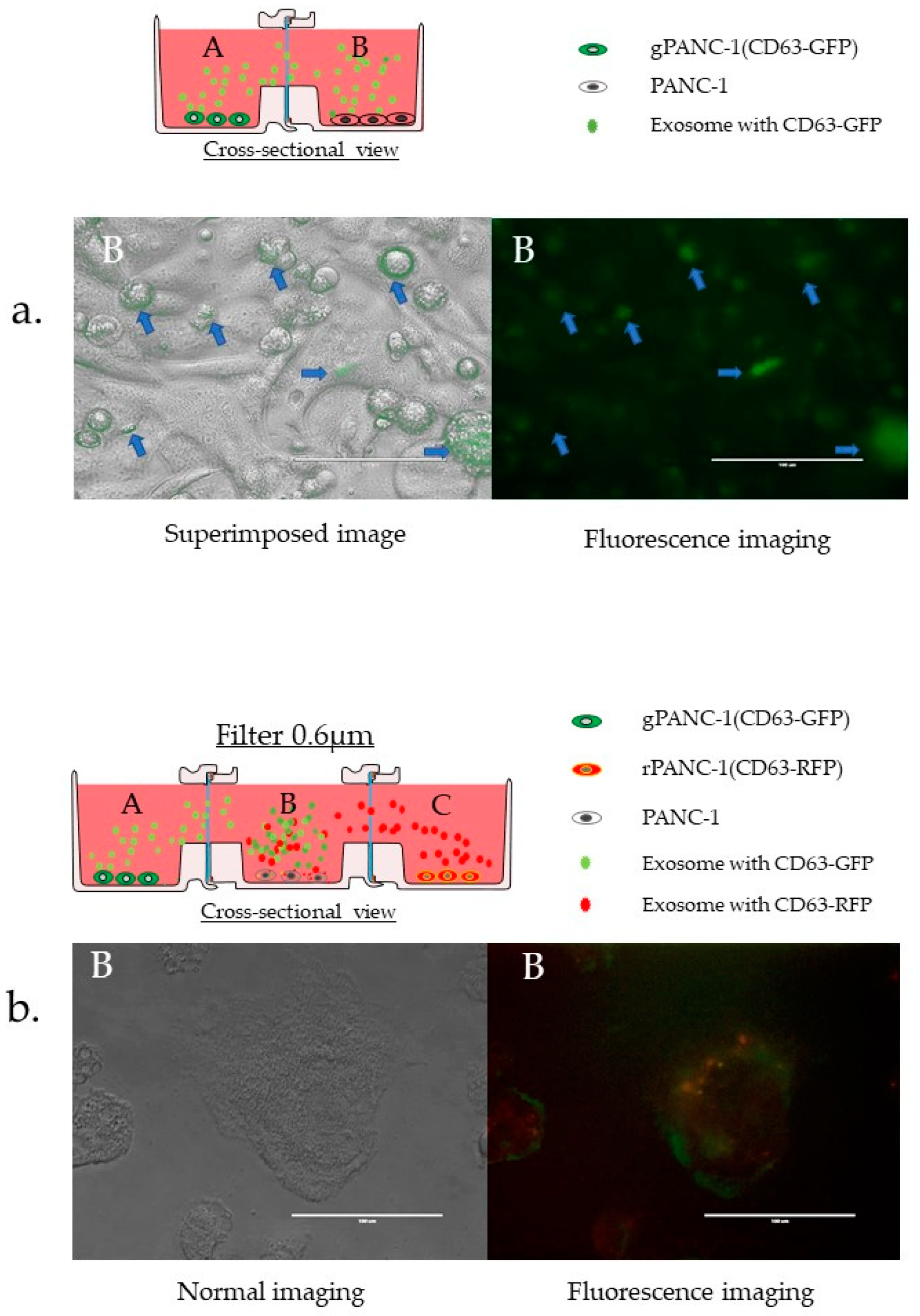 Micromachines 12 01431 g008