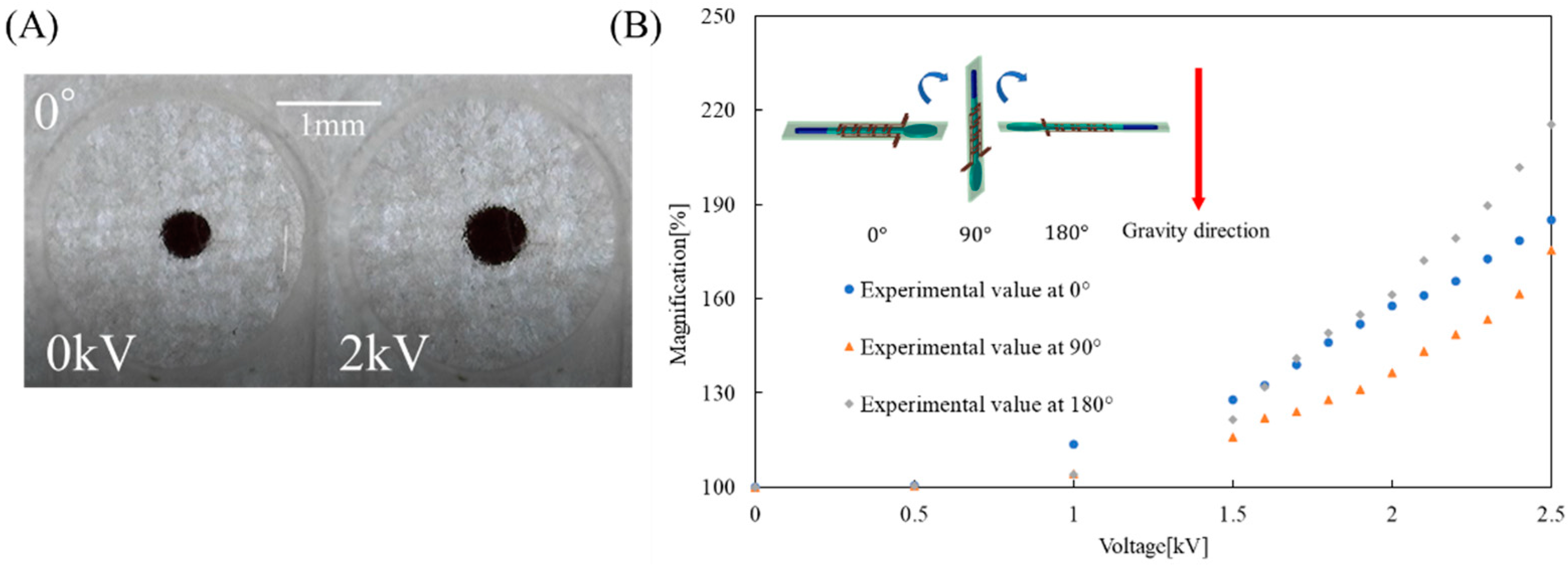Micromachines 12 01452 g006