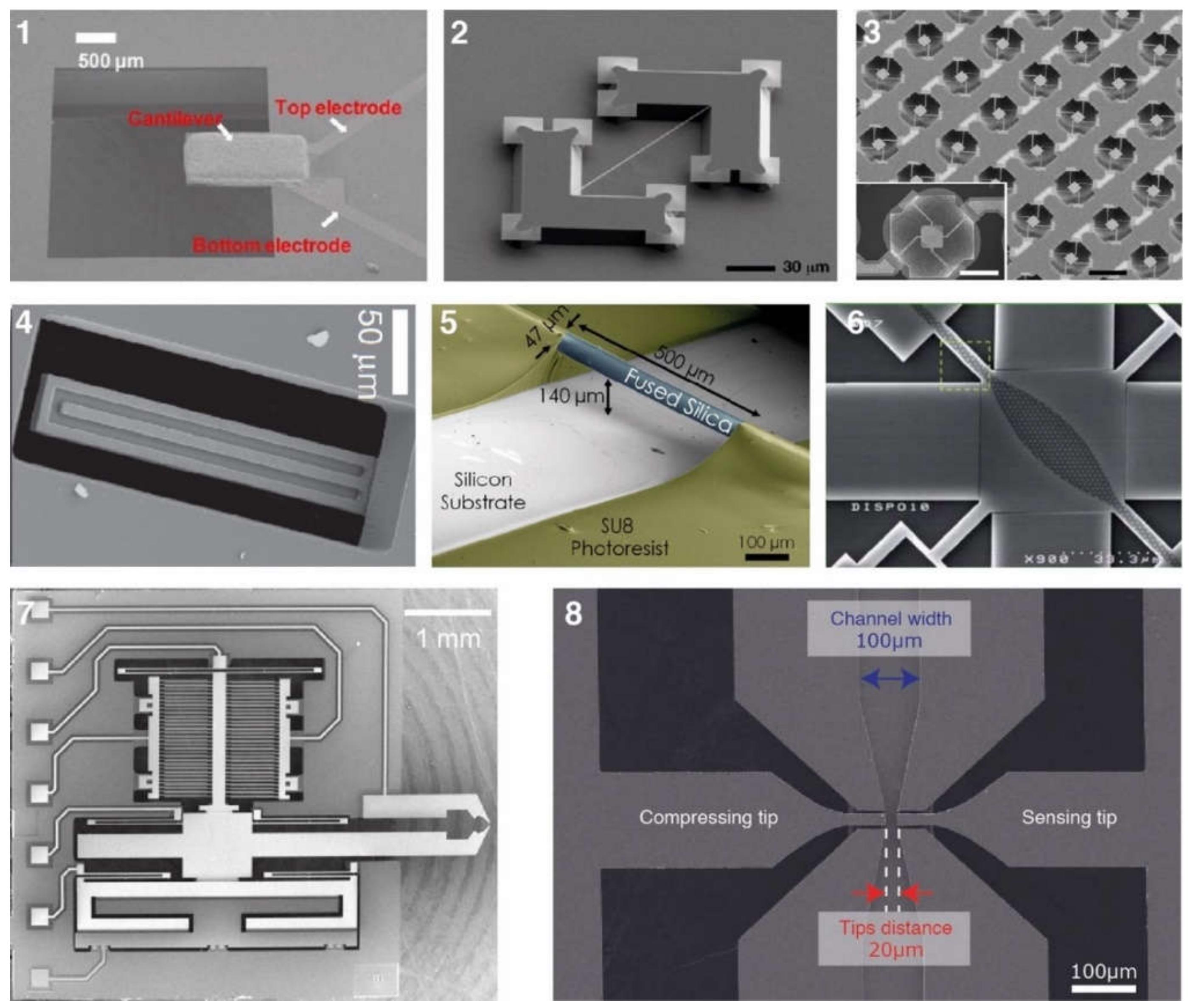 Micromachines | Free Full-Text | Fabricating Silicon Resonators for  Analysing Biological Samples