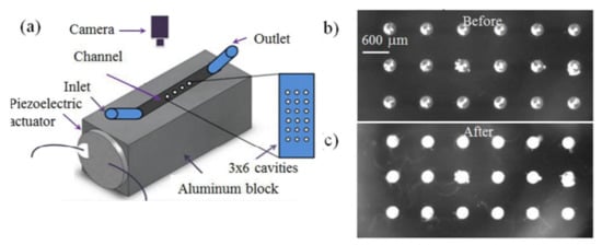 Micromachines | Free Full-Text | Acoustic Biosensors and 