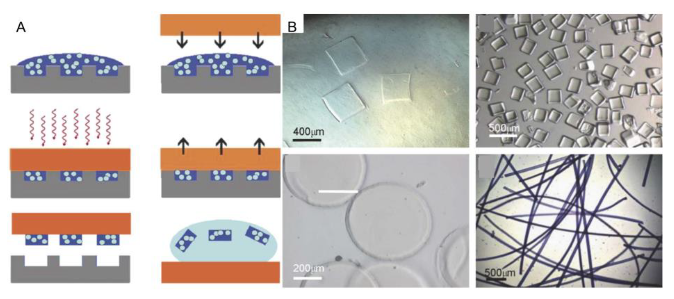 Micromachines 13 00075 g004 Micromachines 13 00075 g004