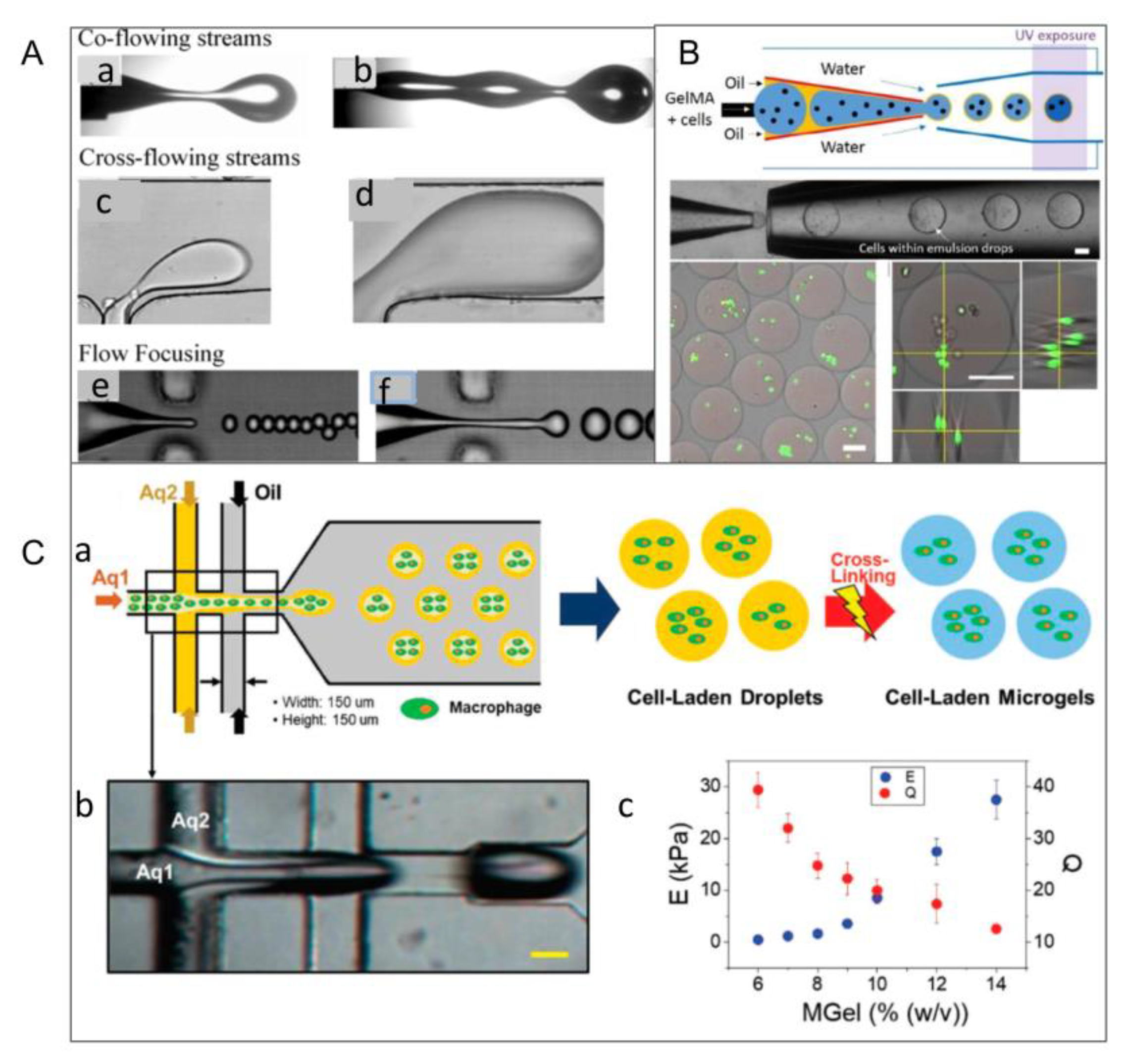 Micromachines 13 00075 g005 Micromachines 13 00075 g005