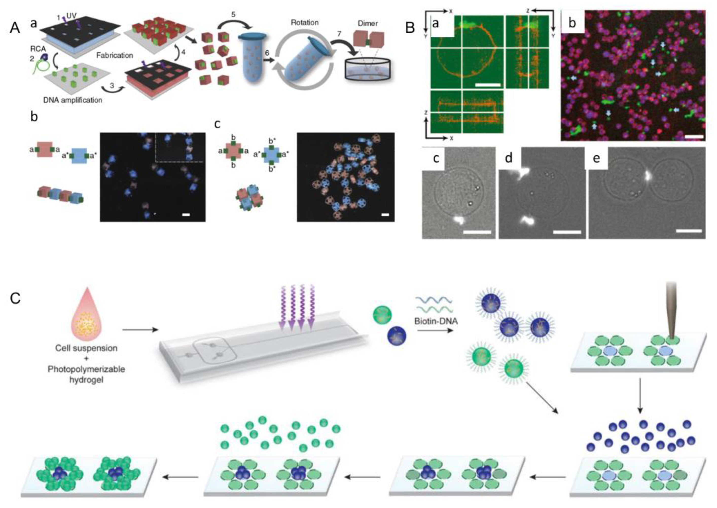 Micromachines 13 00075 g010 Micromachines 13 00075 g010