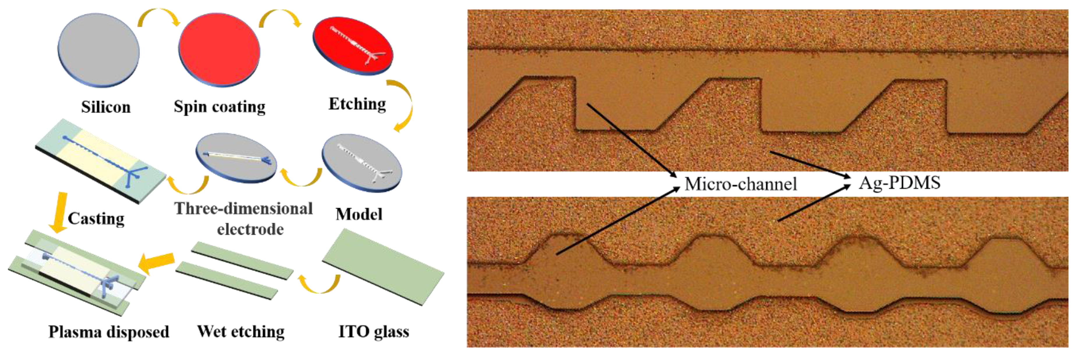 Micromachines 13 00117 g002