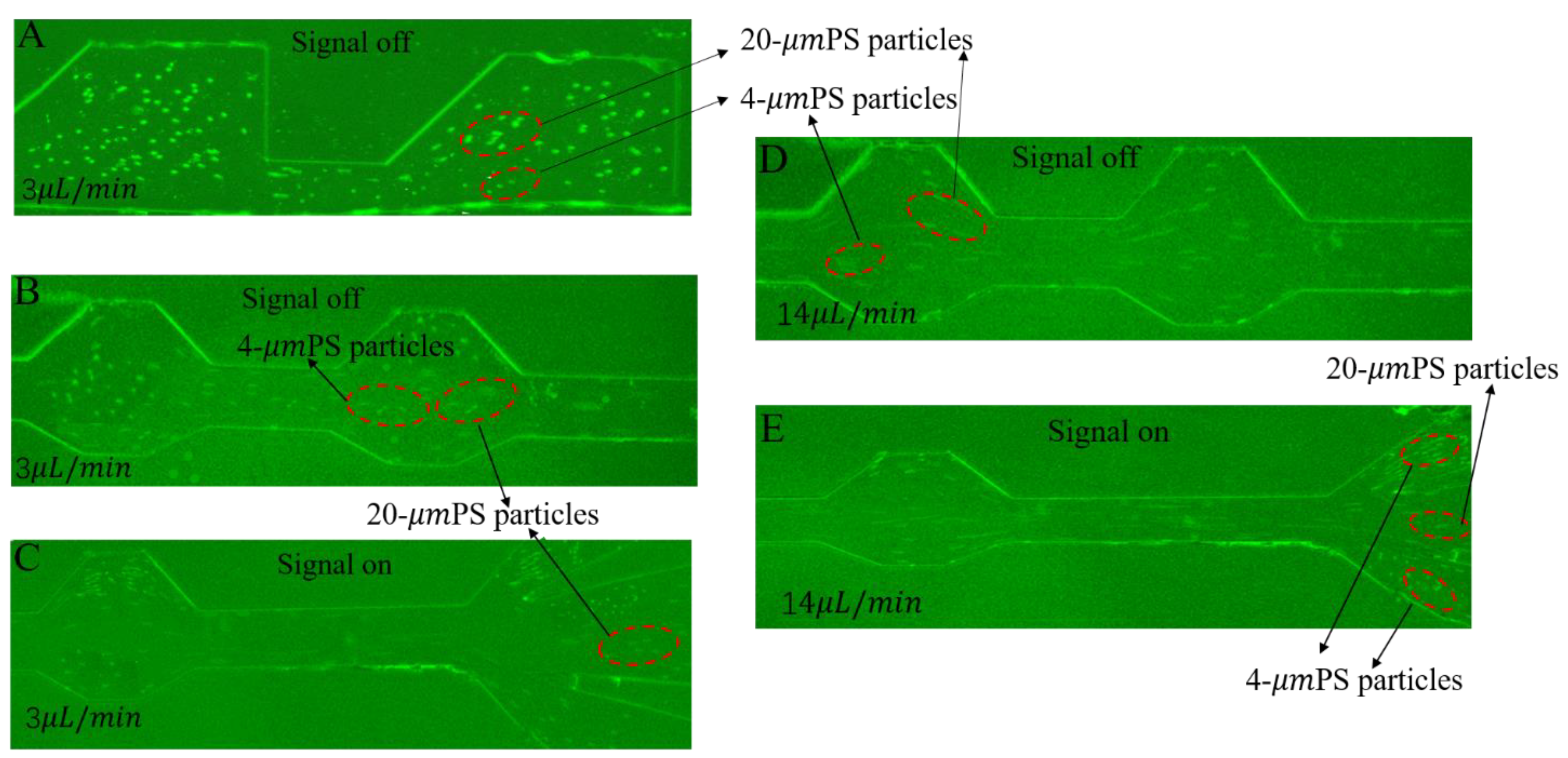 Micromachines 13 00117 g007