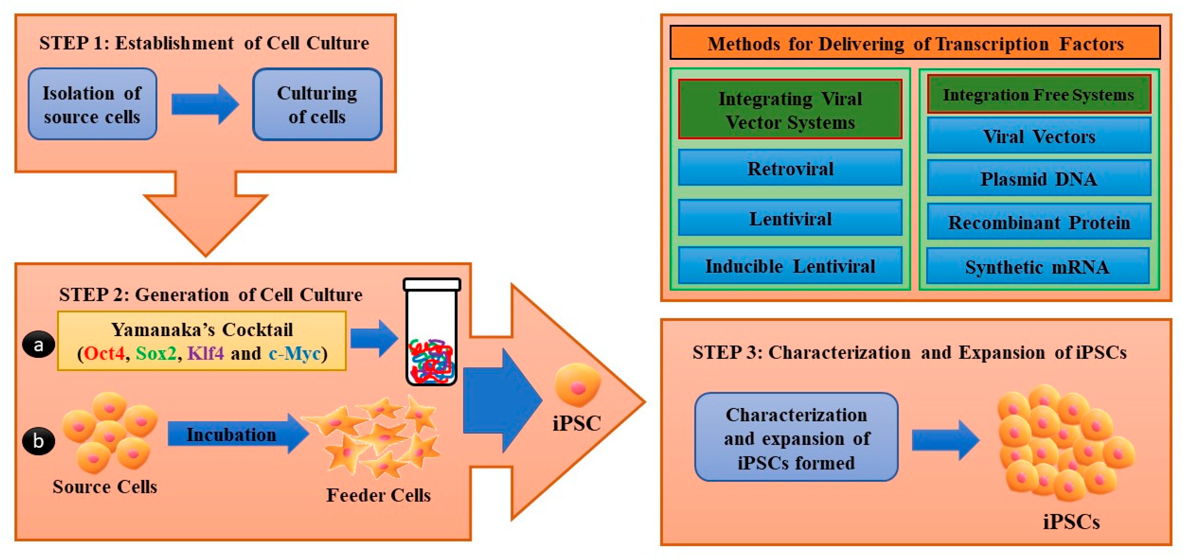Micromachines 13 00155 g001