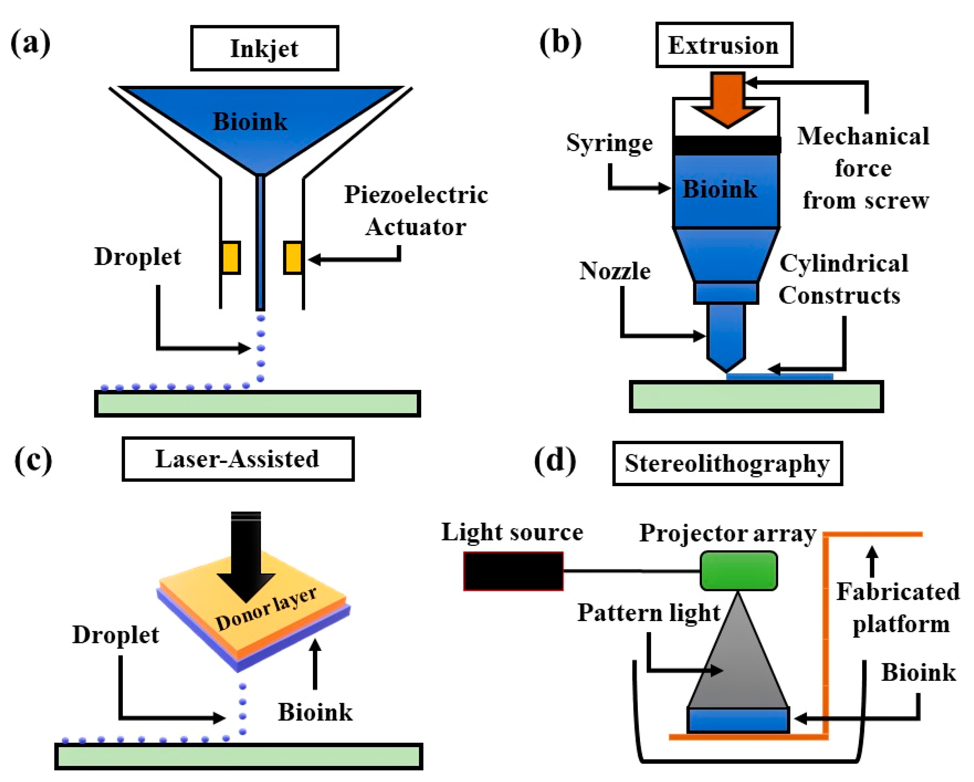 Micromachines 13 00155 g003