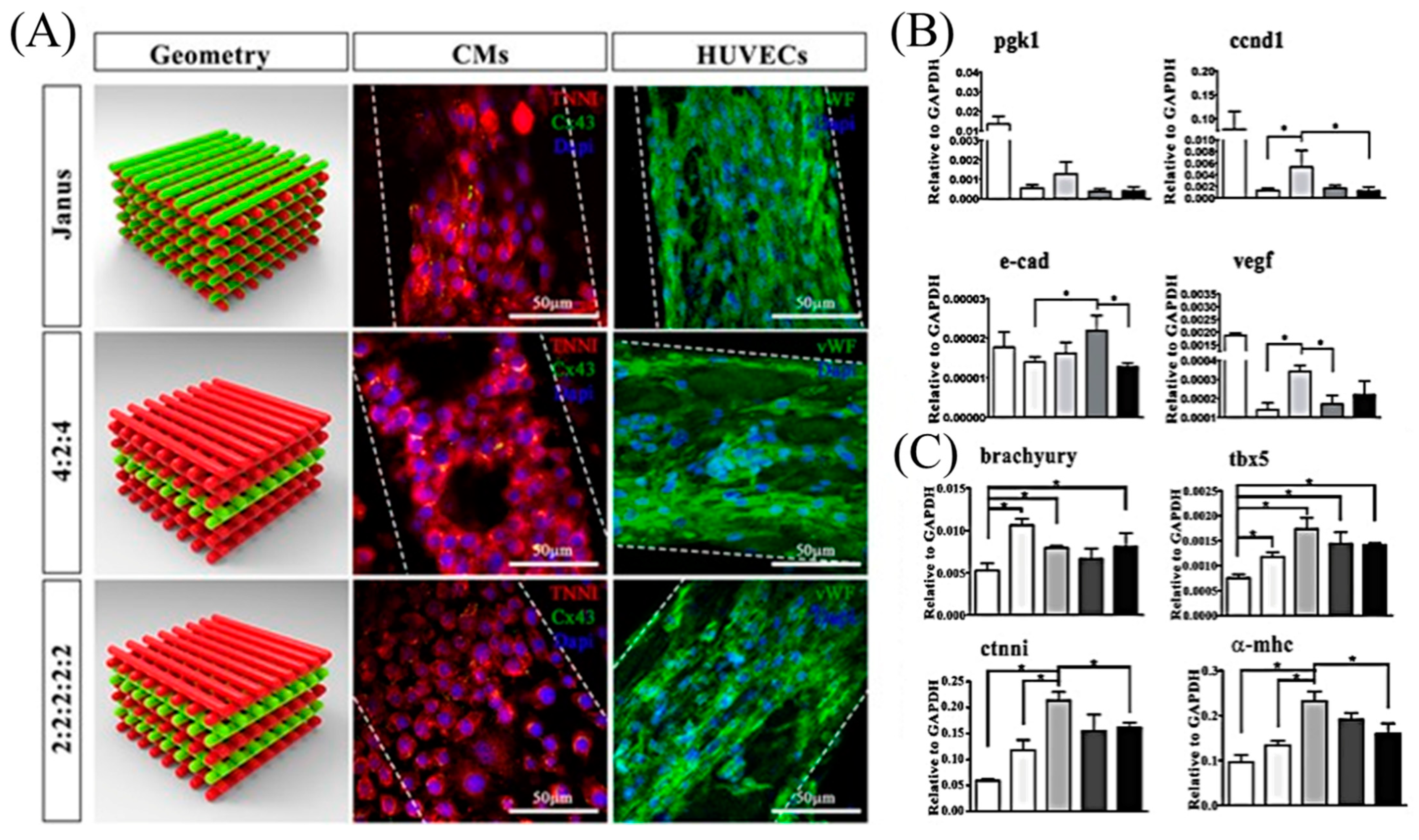 Micromachines 13 00155 g010