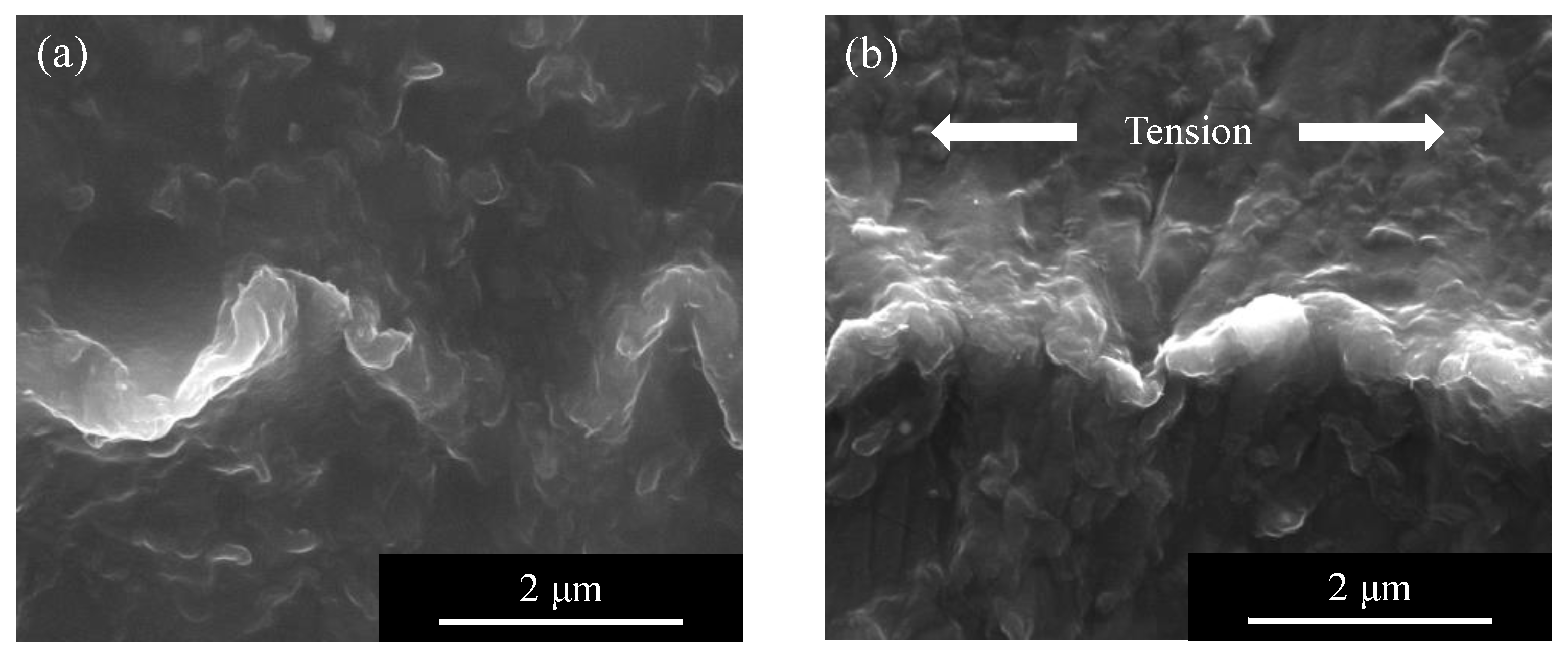 Micromachines 13 00170 g008