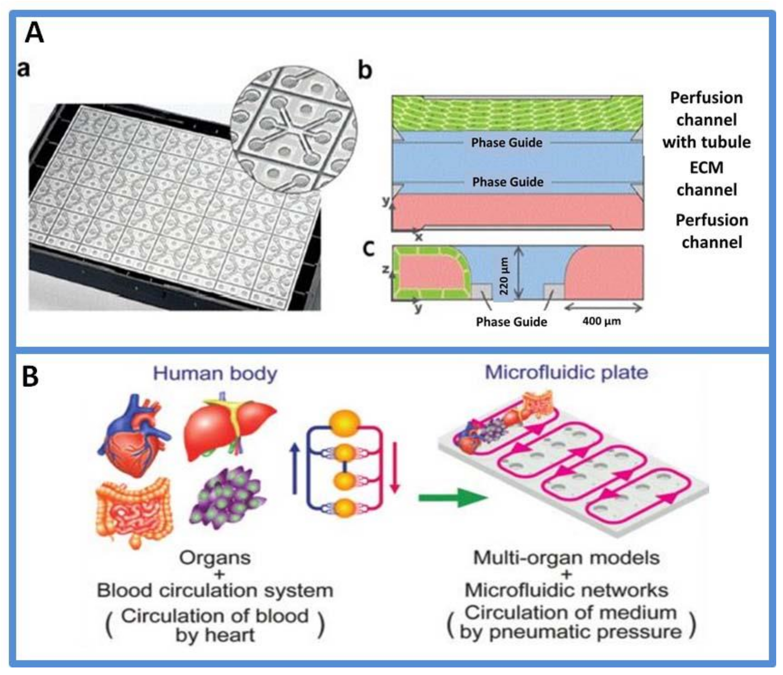 Micromachines 13 00200 g005