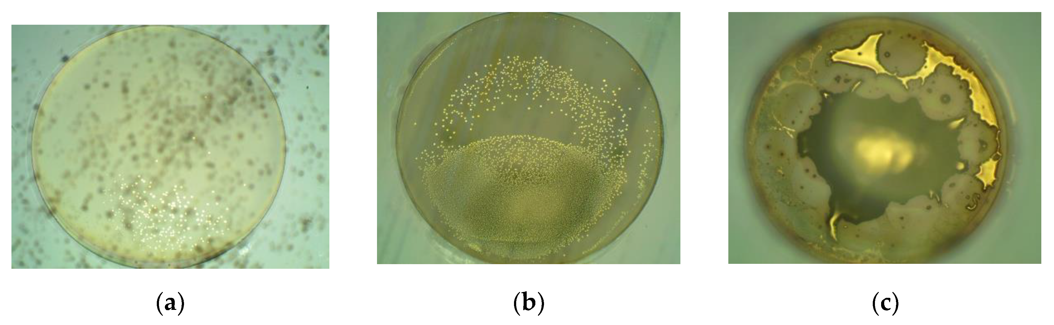 Micromachines 13 00217 g008