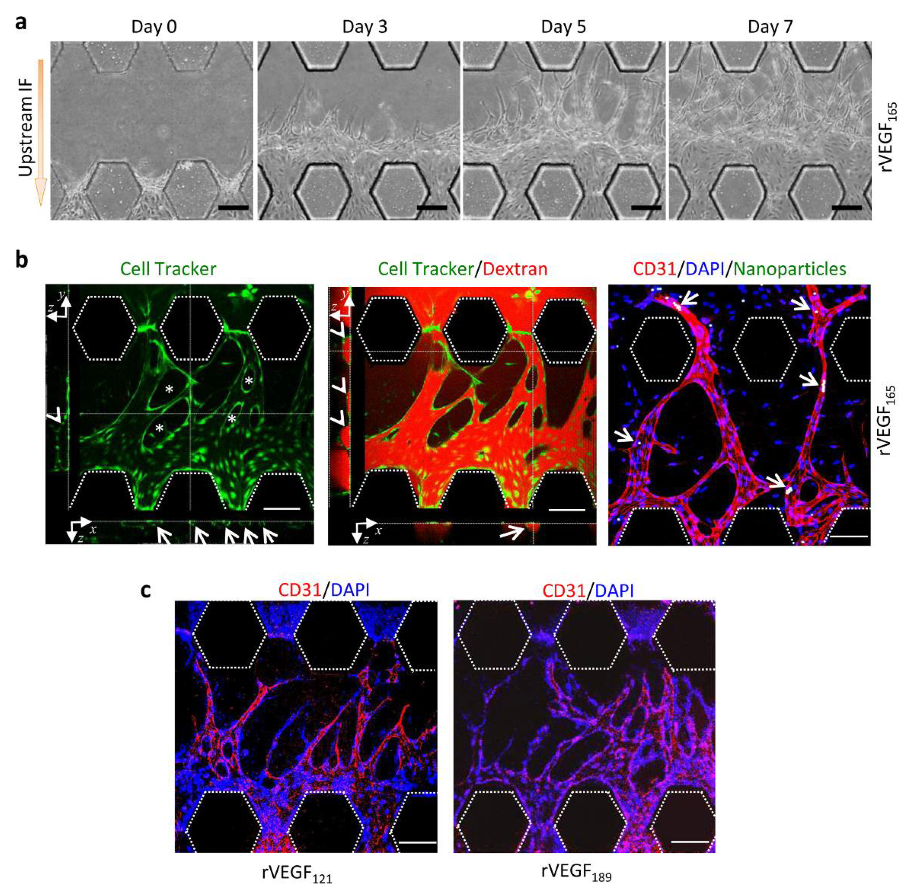 Micromachines 13 00225 g005