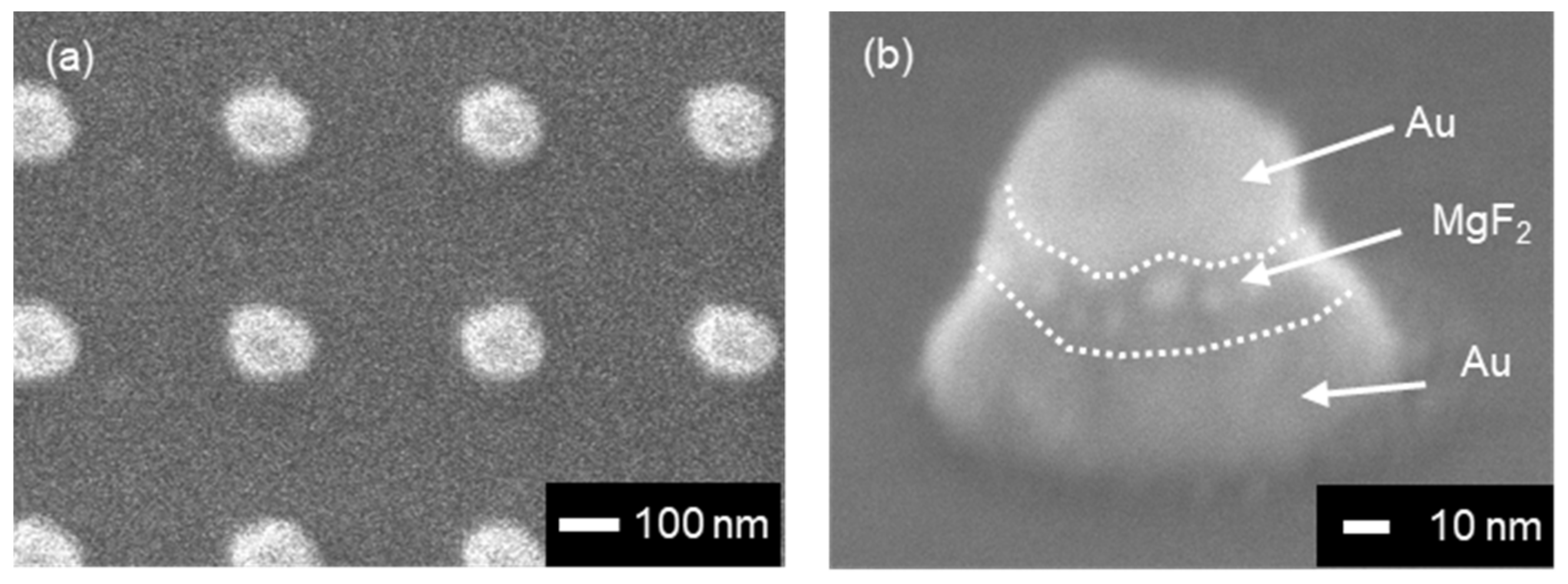 Micromachines 13 00257 g005