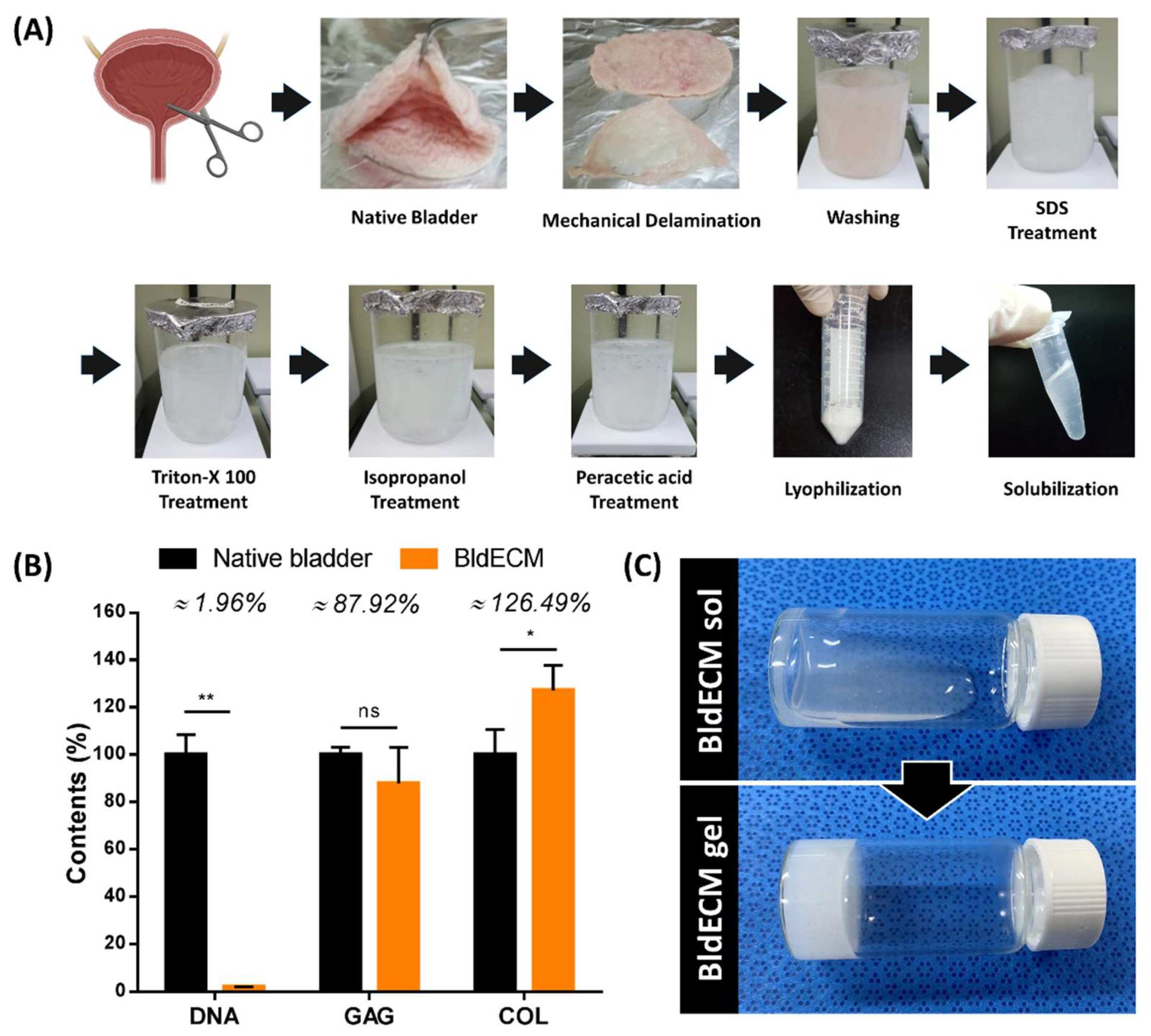 Micromachines 13 00277 g002