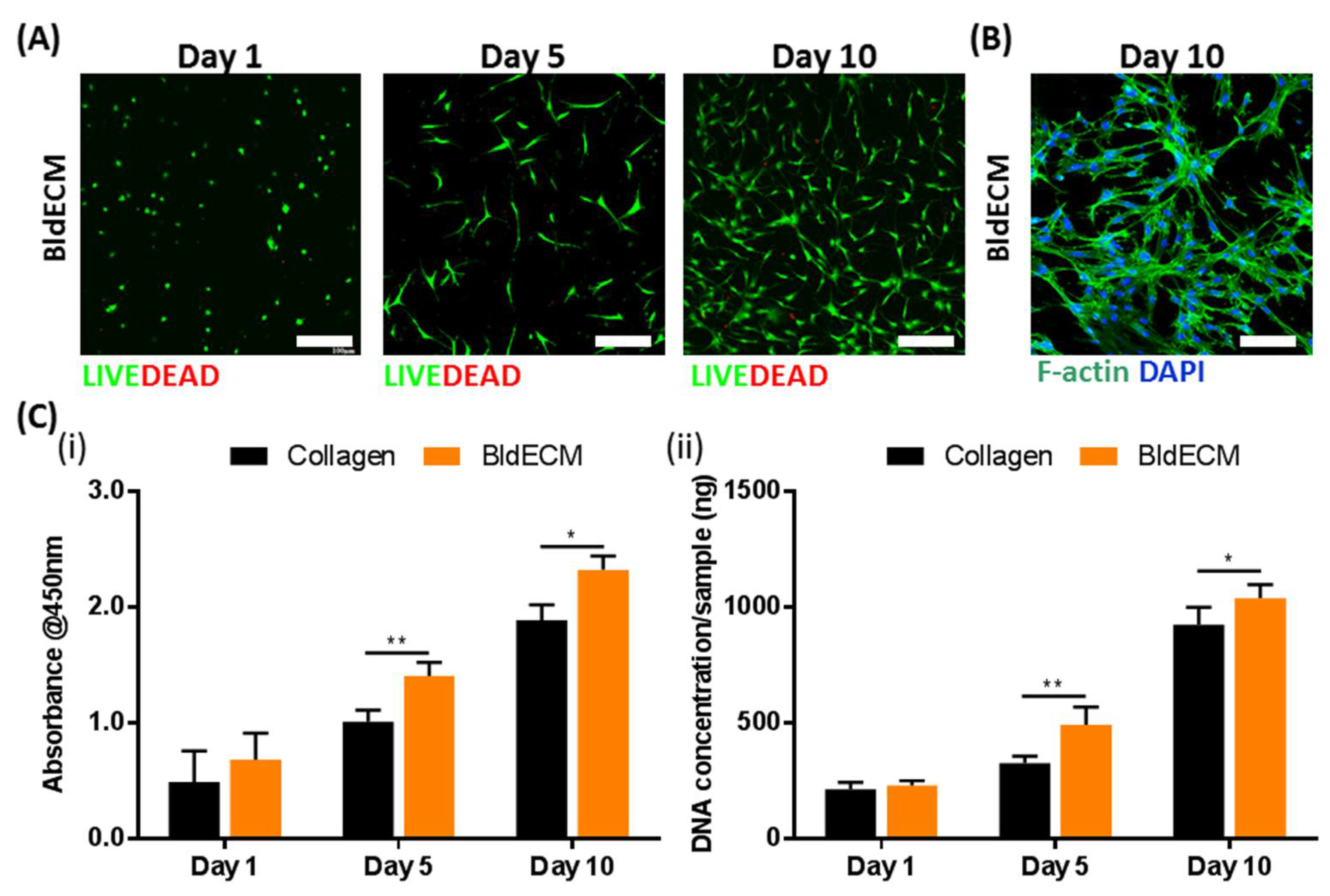 Micromachines 13 00277 g004