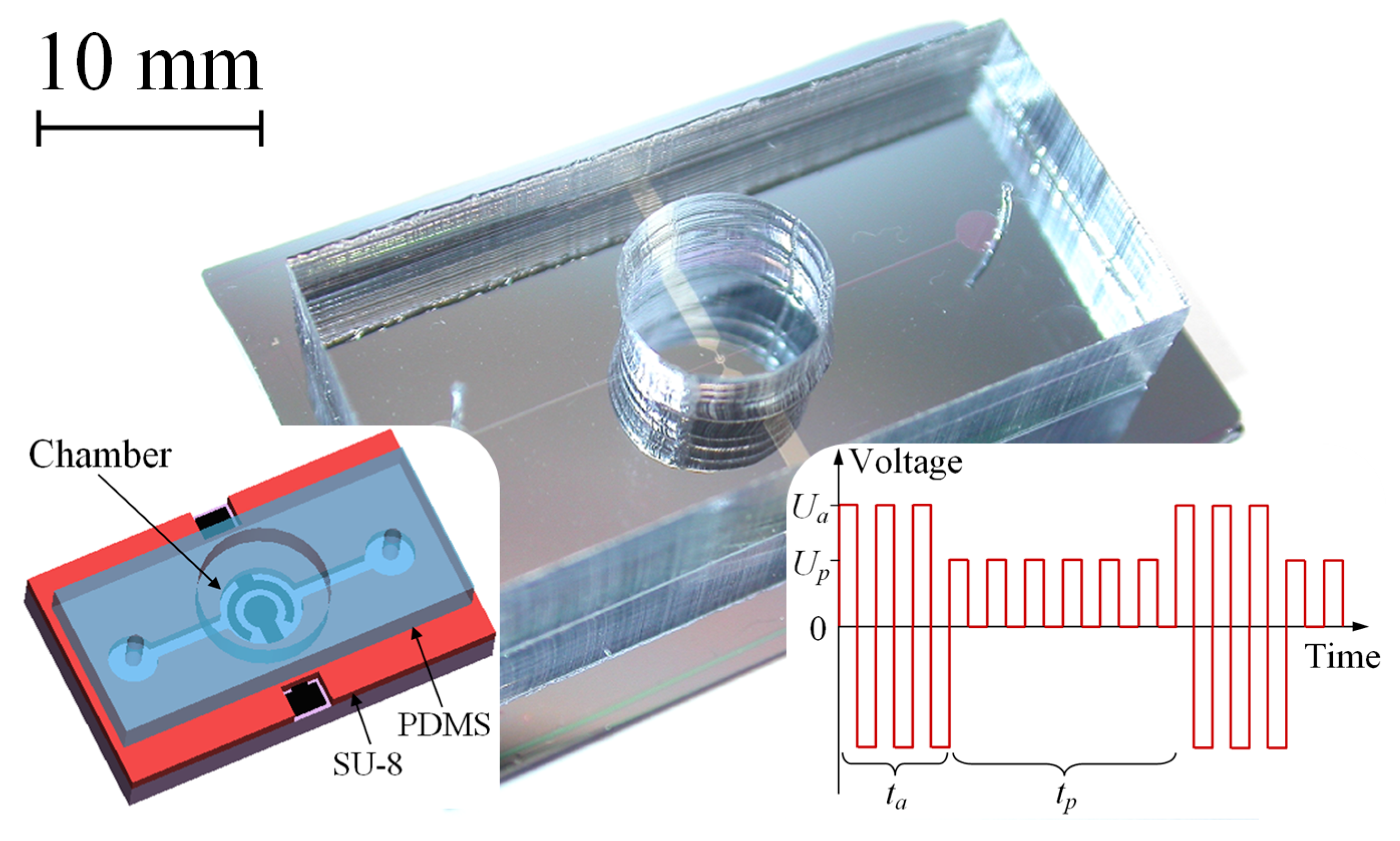 Micromachines 13 00283 g001