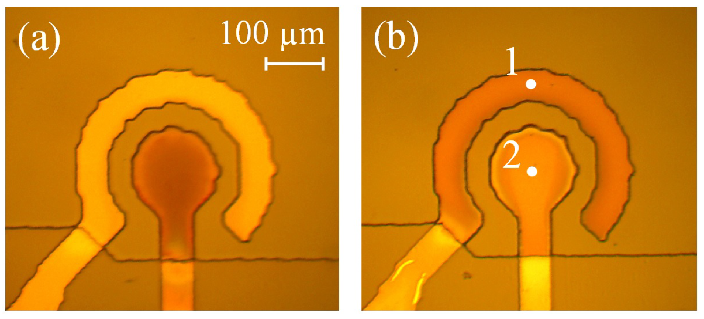 Micromachines 13 00283 g009