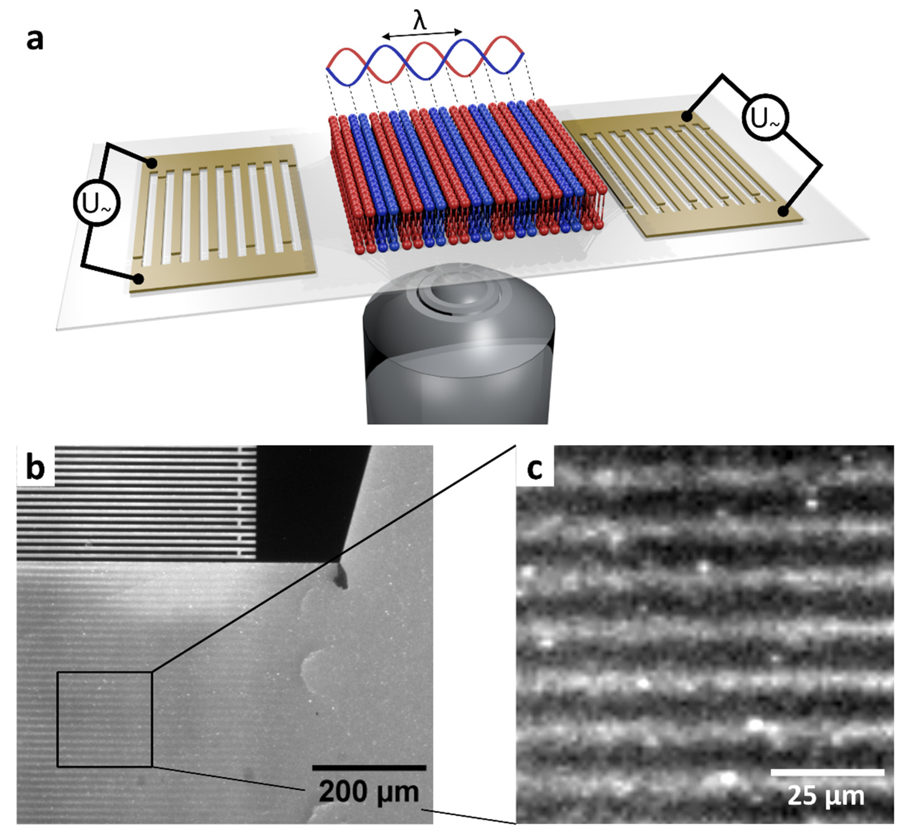 Micromachines 13 00287 g002