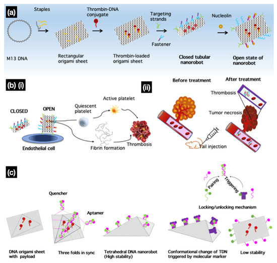 FOL expression after synonym analysis and compaction for the