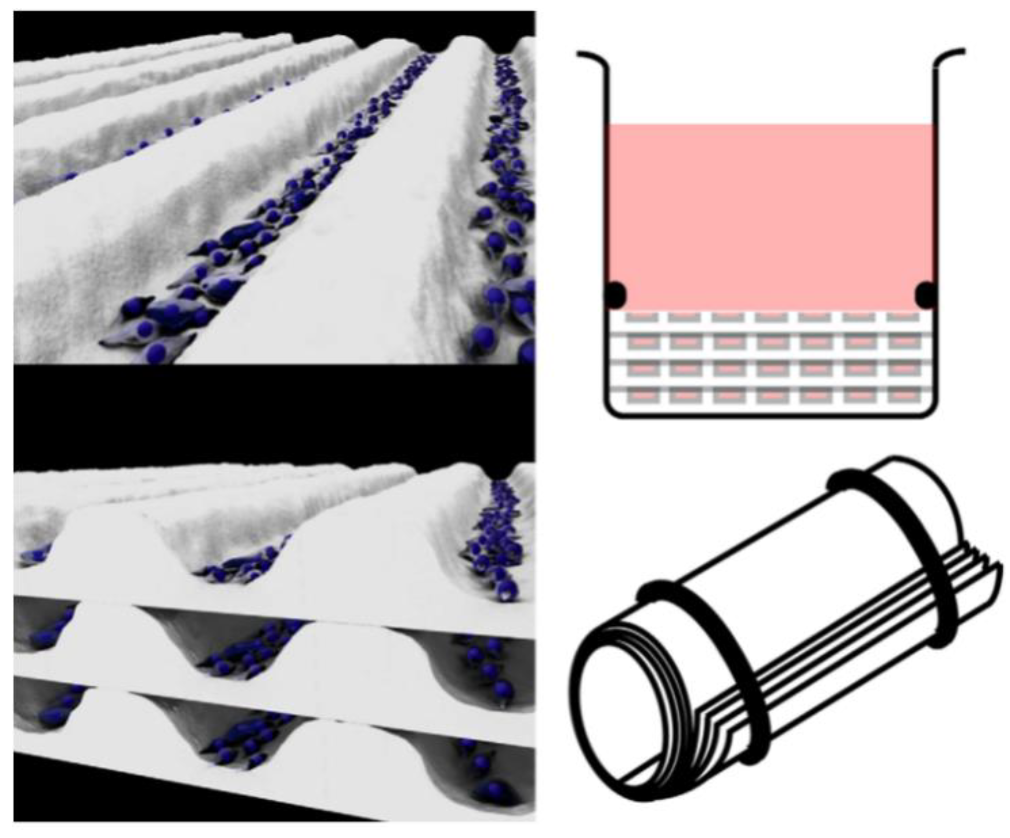 Micromachines 13 00326 g003 Micromachines 13 00326 g003