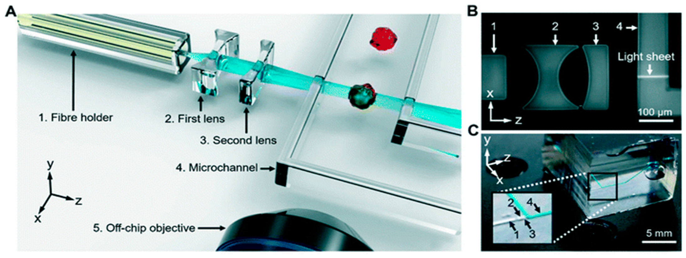 Micromachines 13 00328 g008