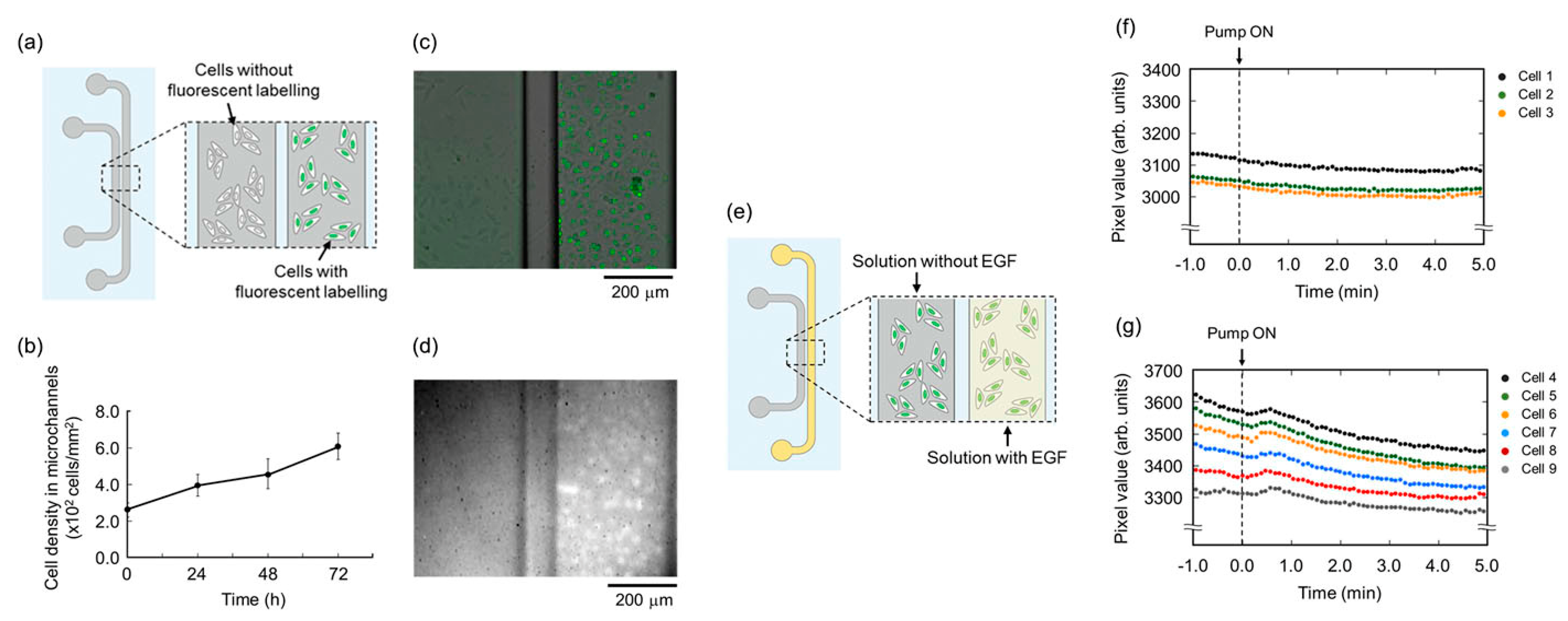 Micromachines 13 00328 g014