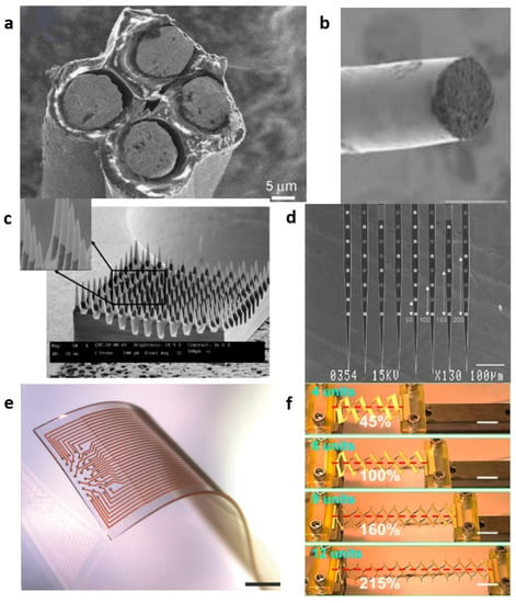 Micromachines | Free Full-Text | Research Progress on the Flexibility of an  Implantable Neural Microelectrode