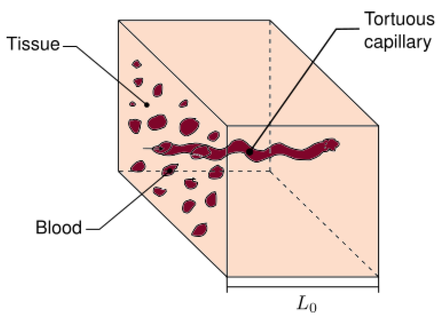 Micromachines 13 00424 g003