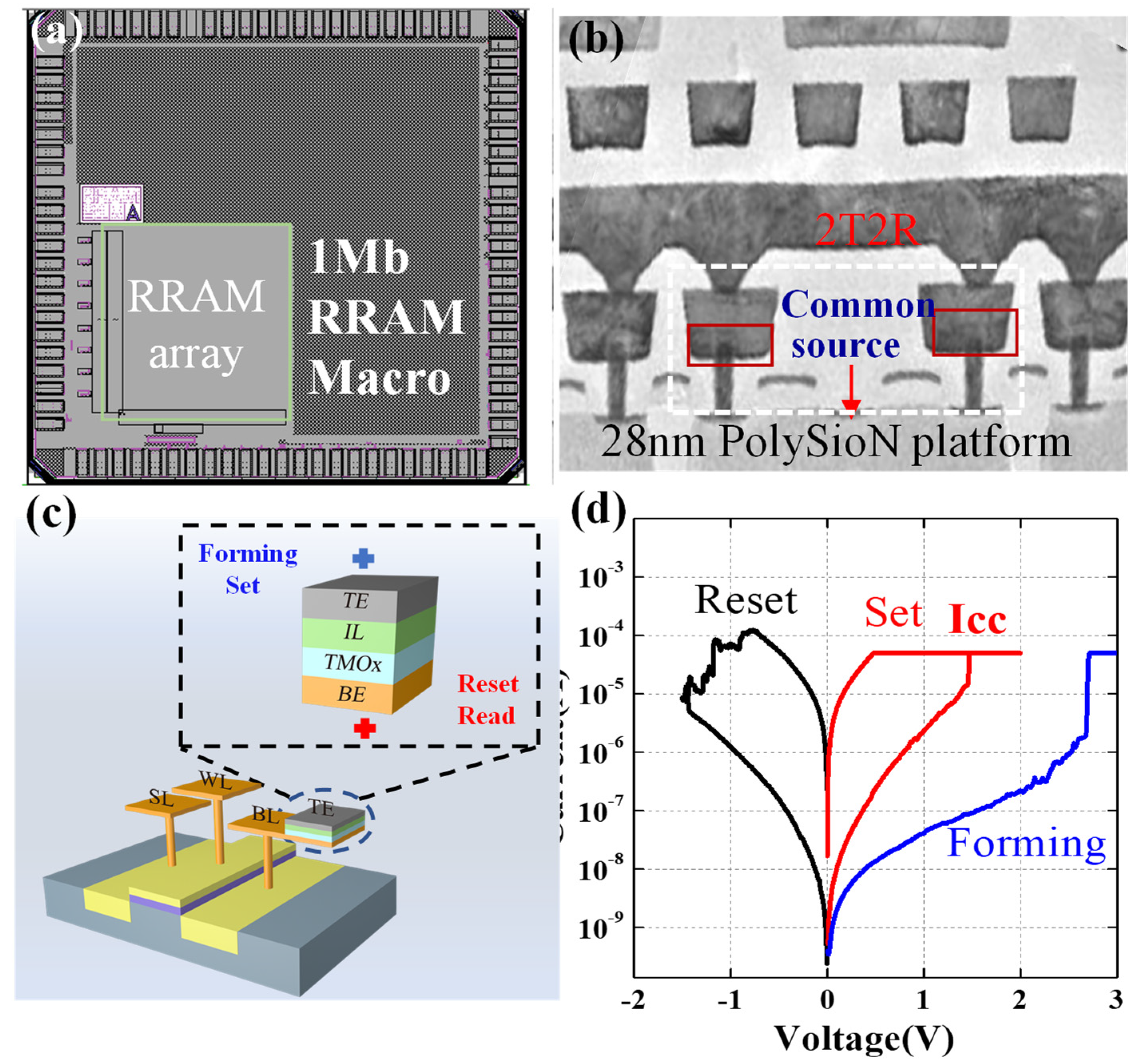 Micromachines 13 00567 g001