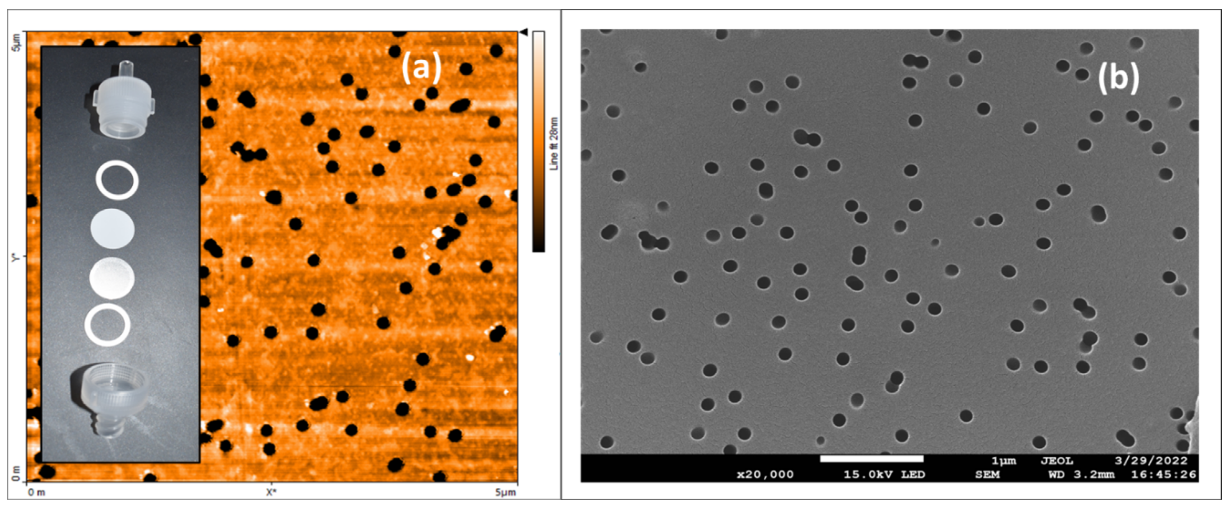 Micromachines 13 00577 g002