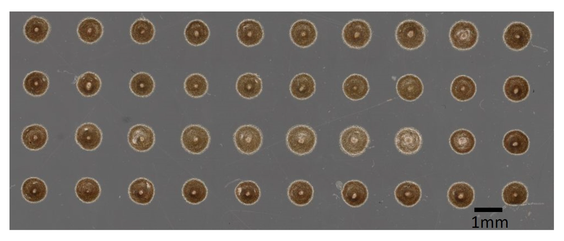 Micromachines 13 00583 g003