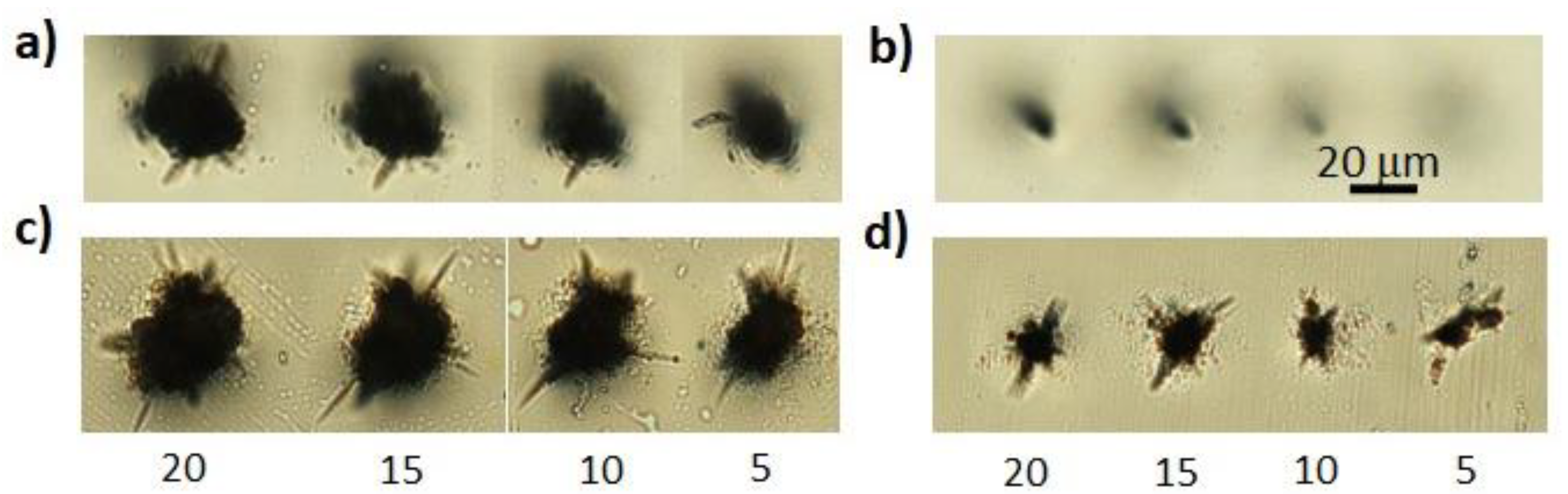 Micromachines 13 00624 g006 Micromachines 13 00624 g006