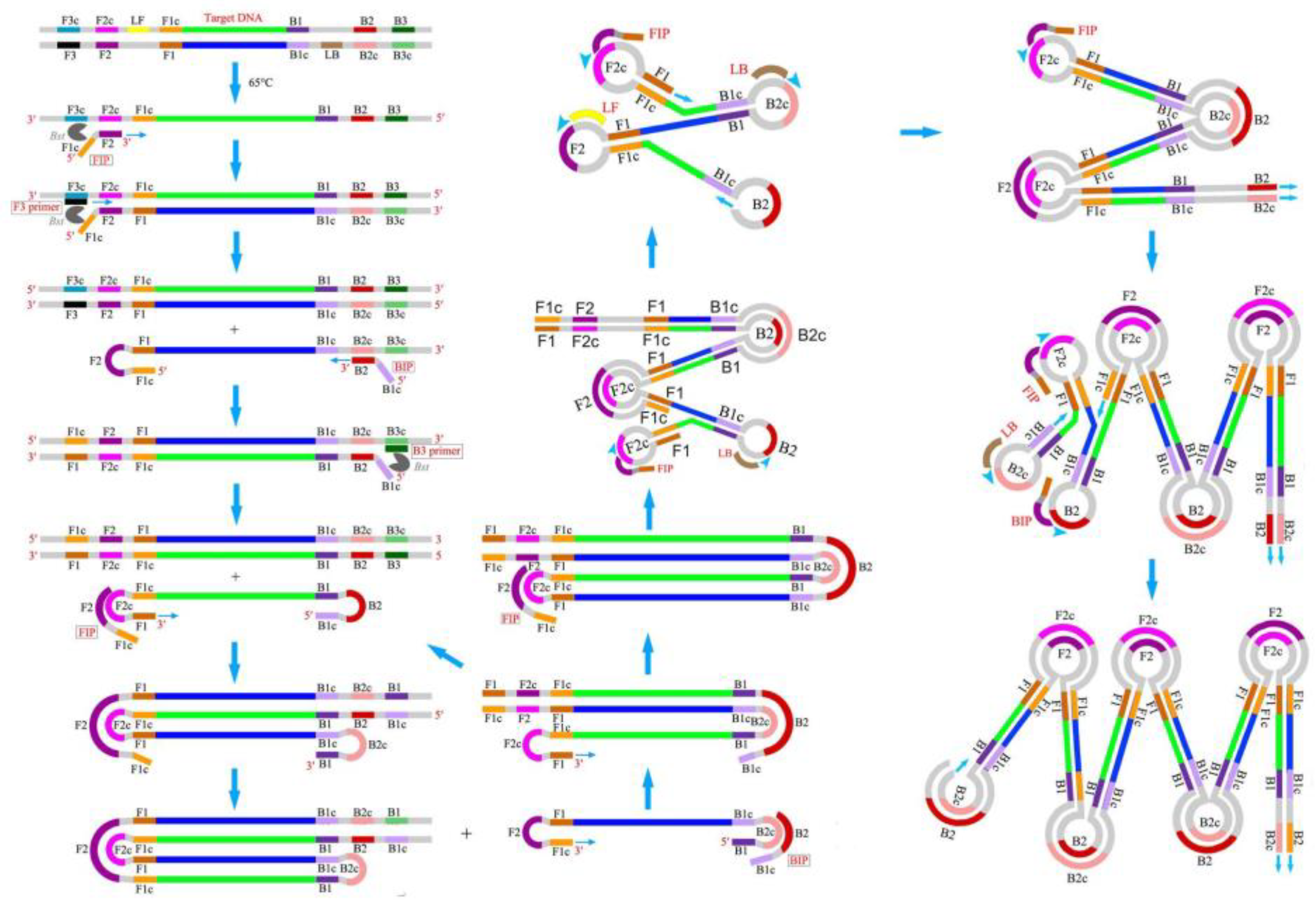 Micromachines 13 00636 g002