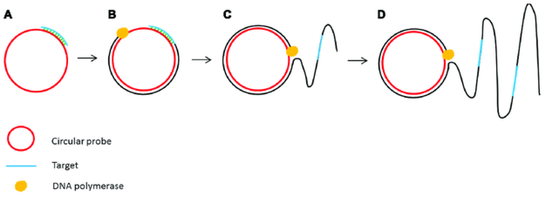 Micromachines 13 00636 g003