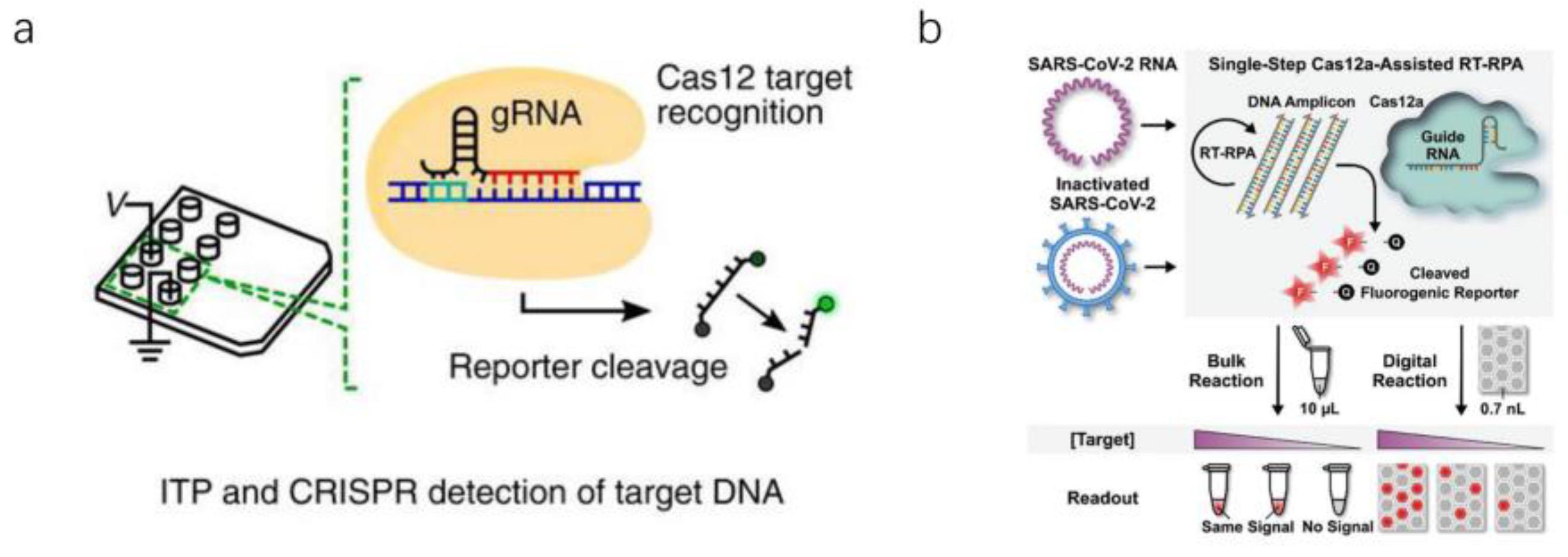 Micromachines 13 00636 g008