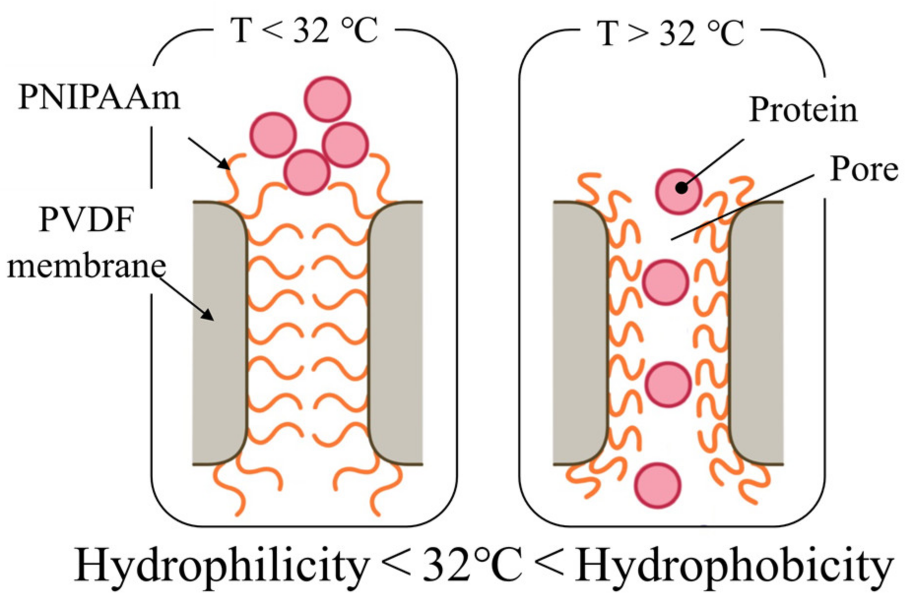 Micromachines 13 00690 g002