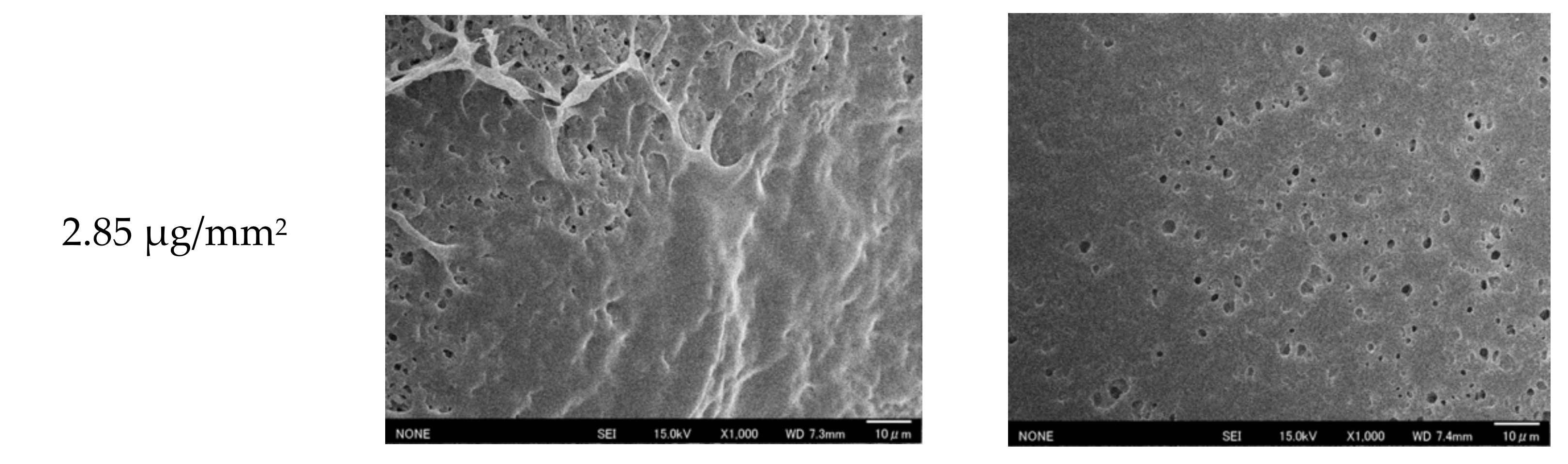 Micromachines 13 00690 g005b