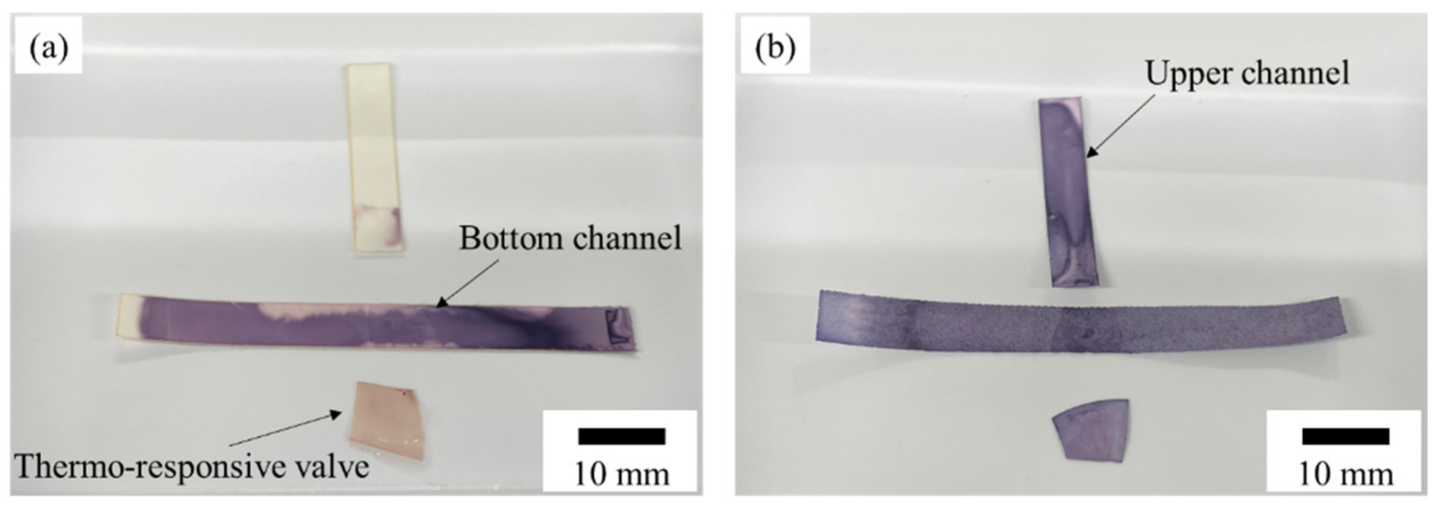 Micromachines 13 00690 g009