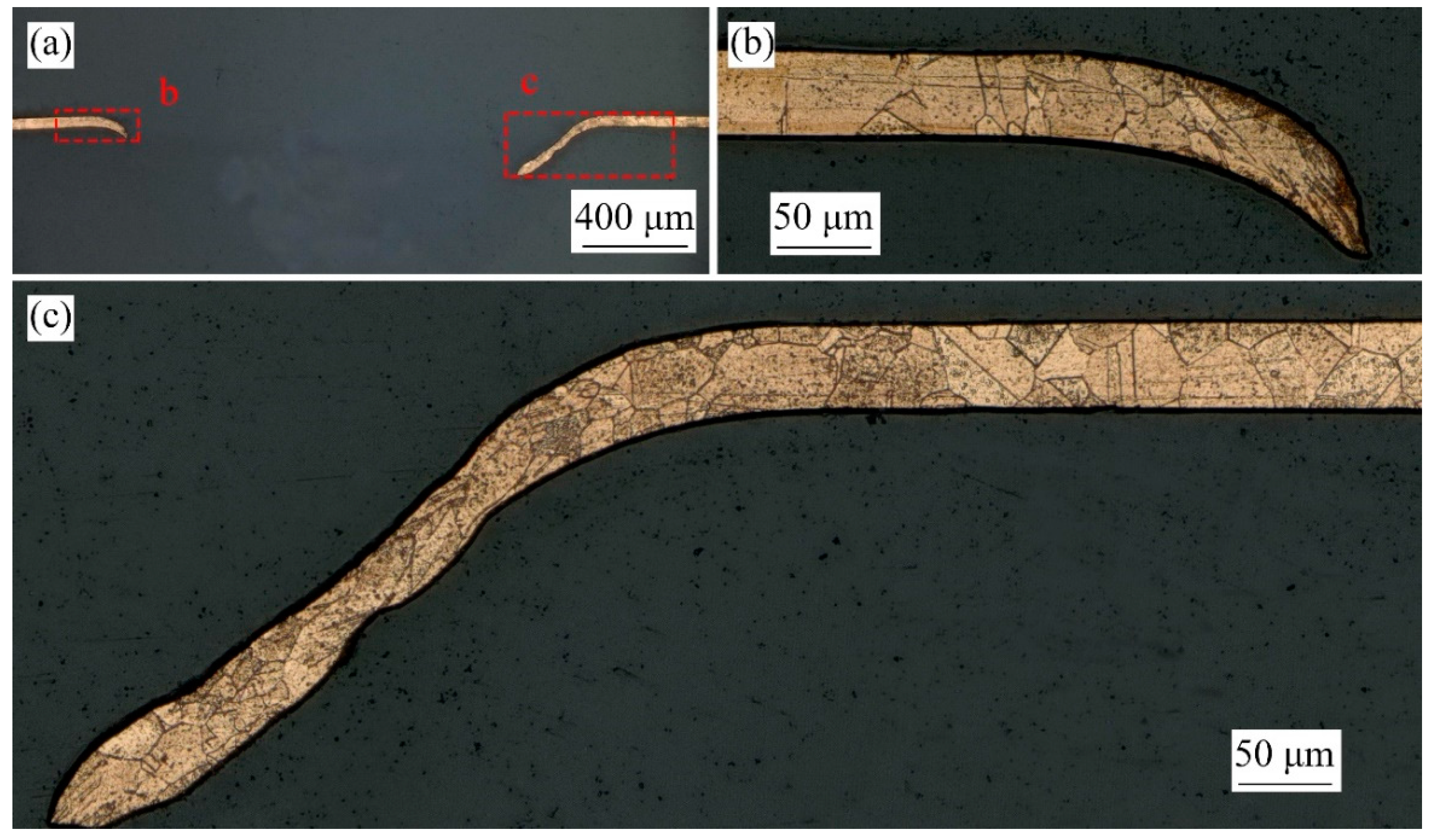 Micromachines 13 00757 g010