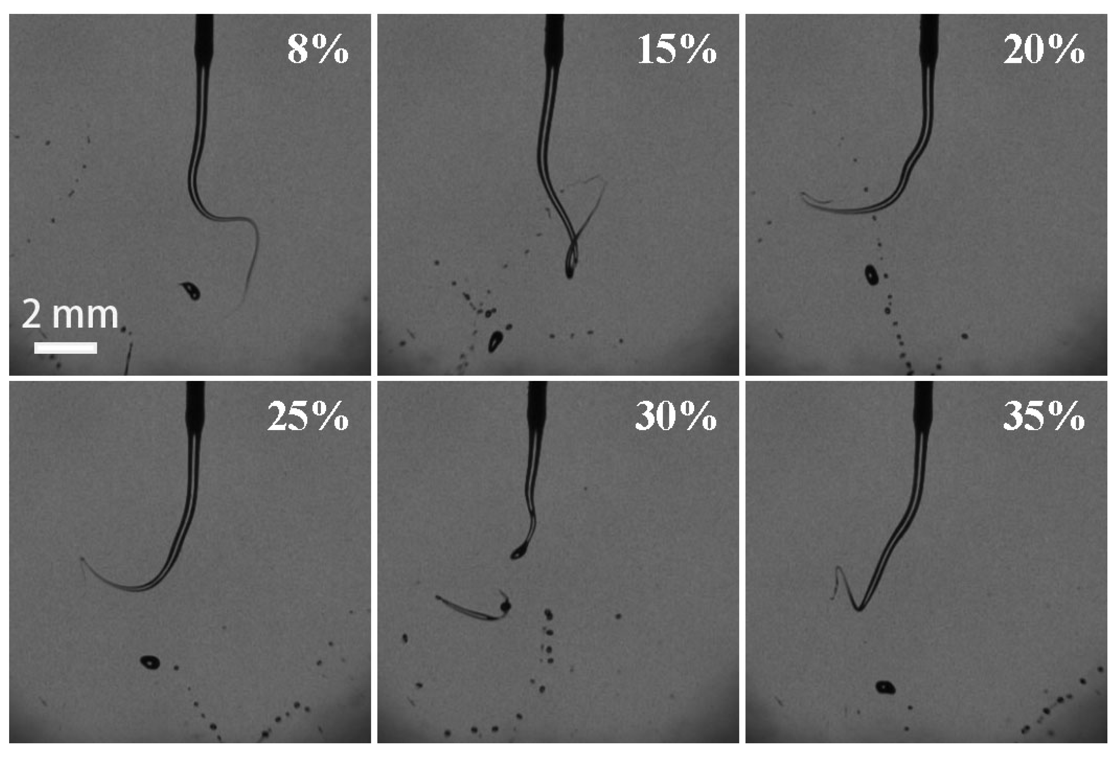 Micromachines 13 00771 g012