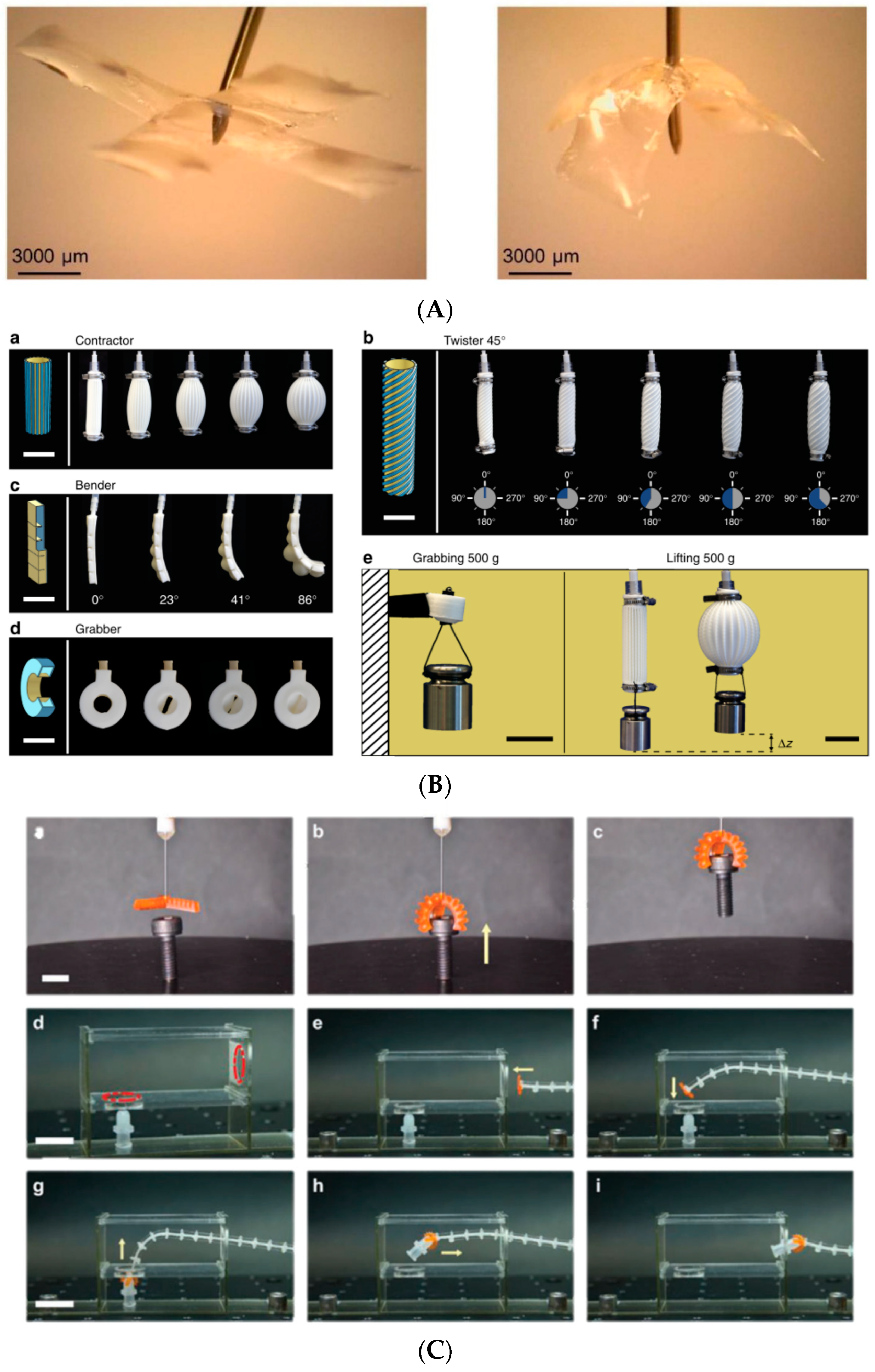 Micromachines 13 00775 g002